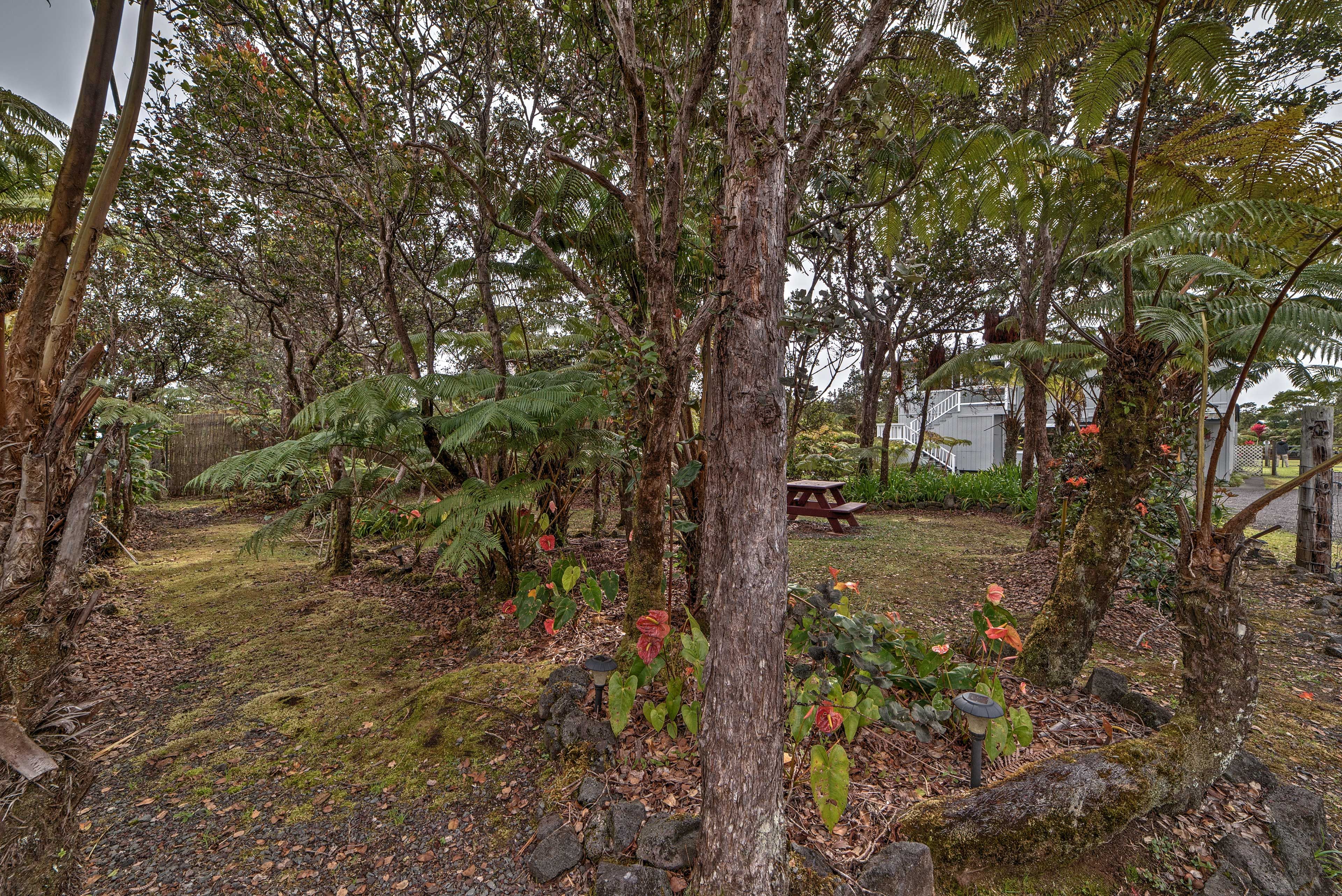 Picnic Area
