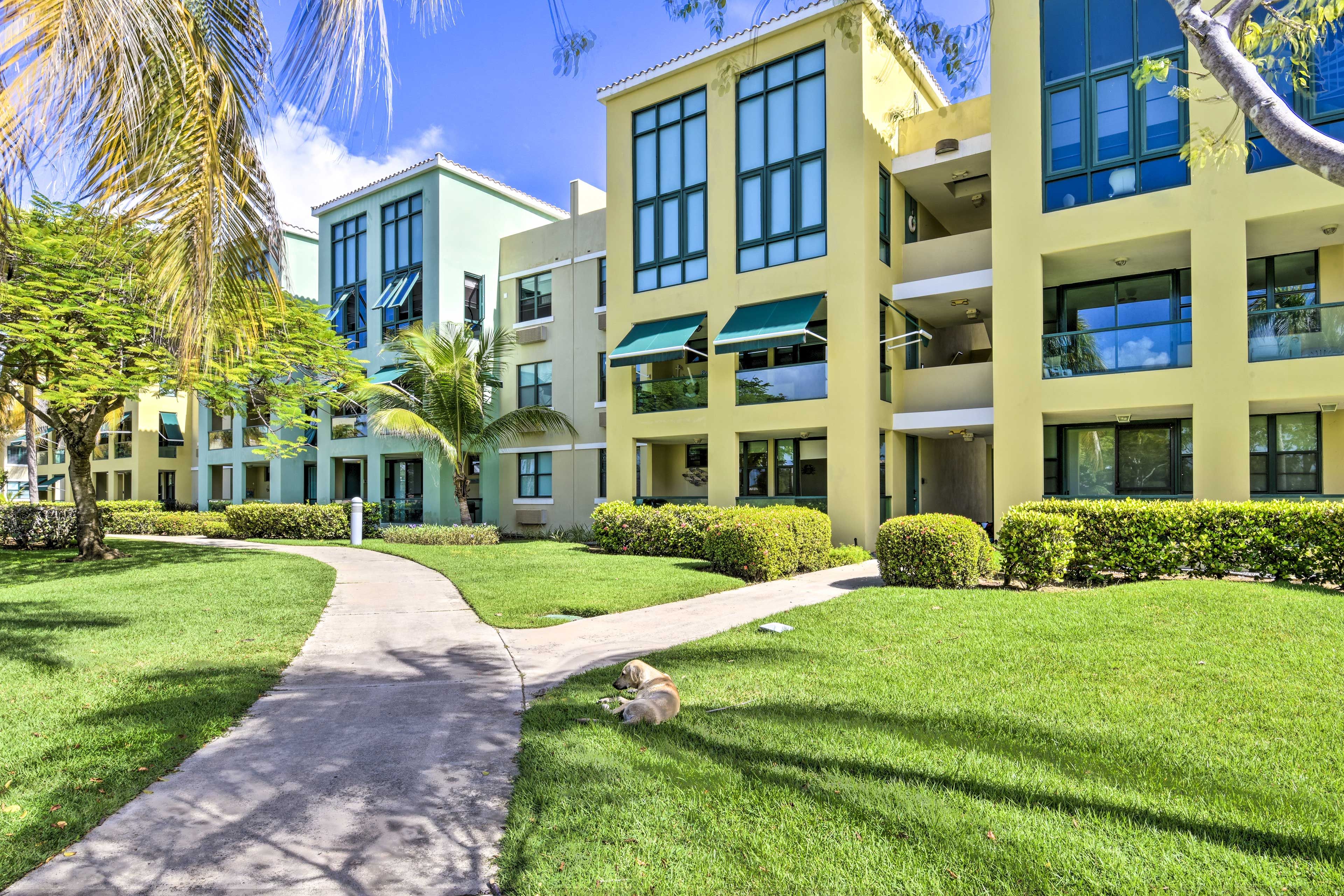 Condo Exterior | Parking | Designated Parking (1 Vehicle)