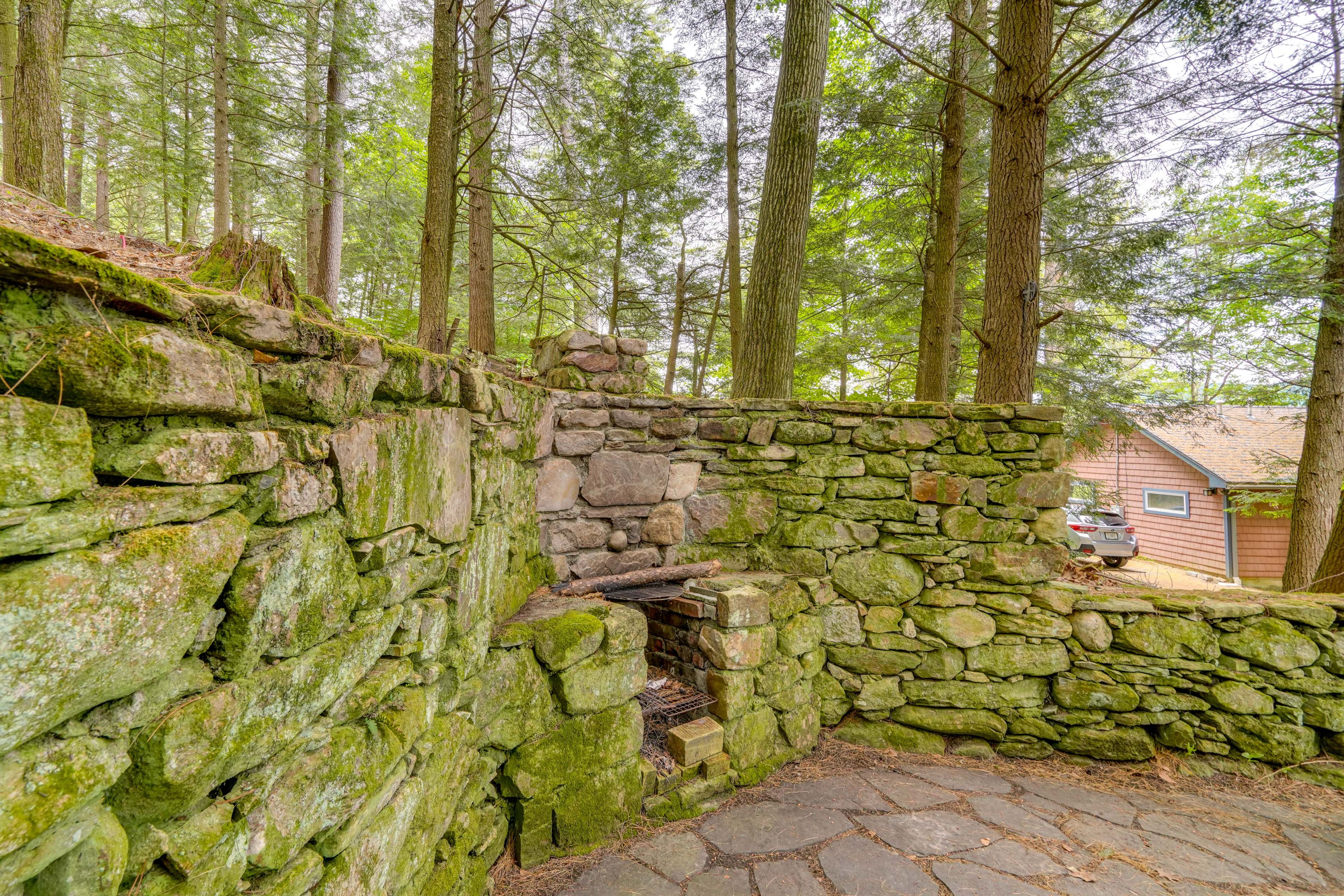Image 19