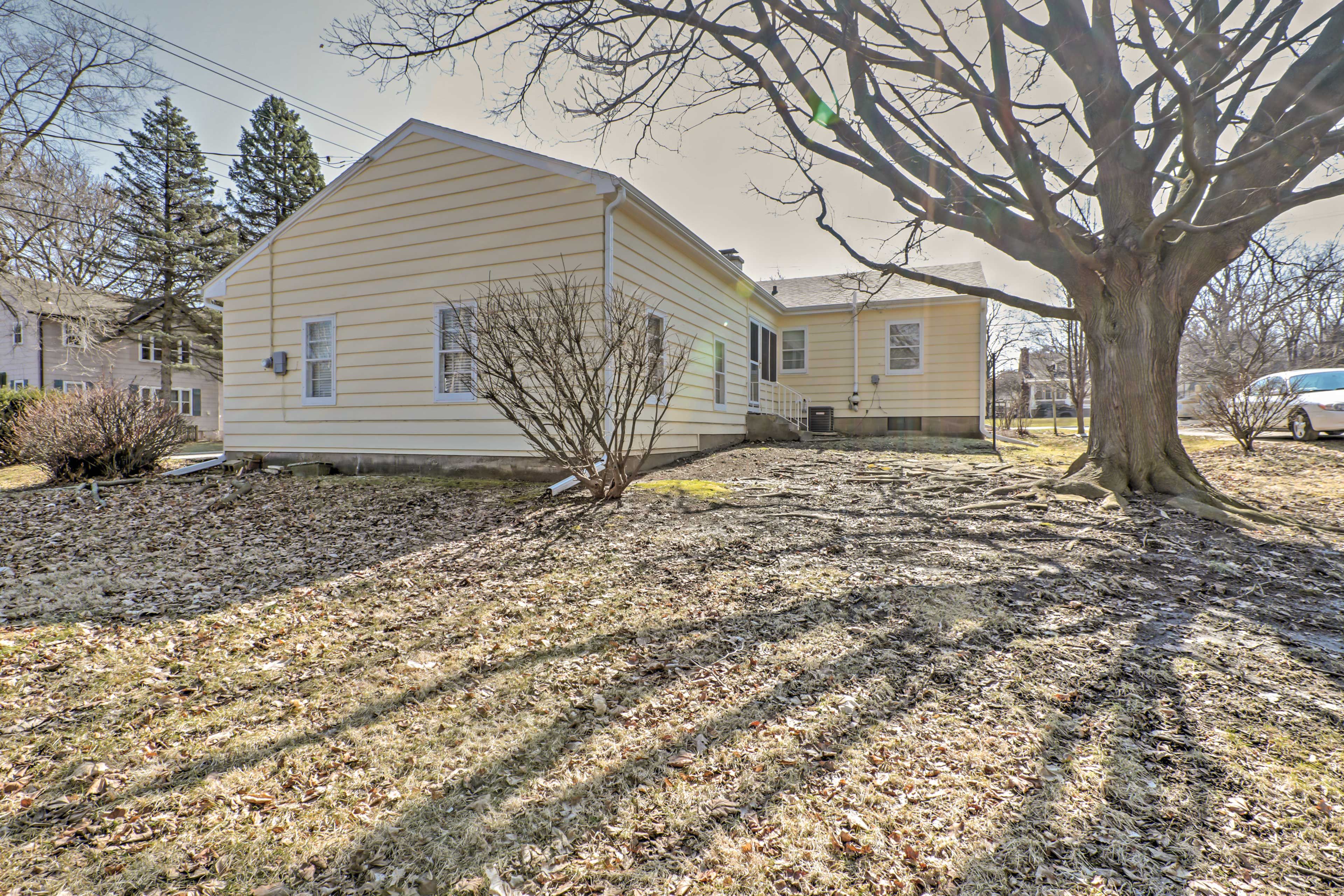Spacious Yard
