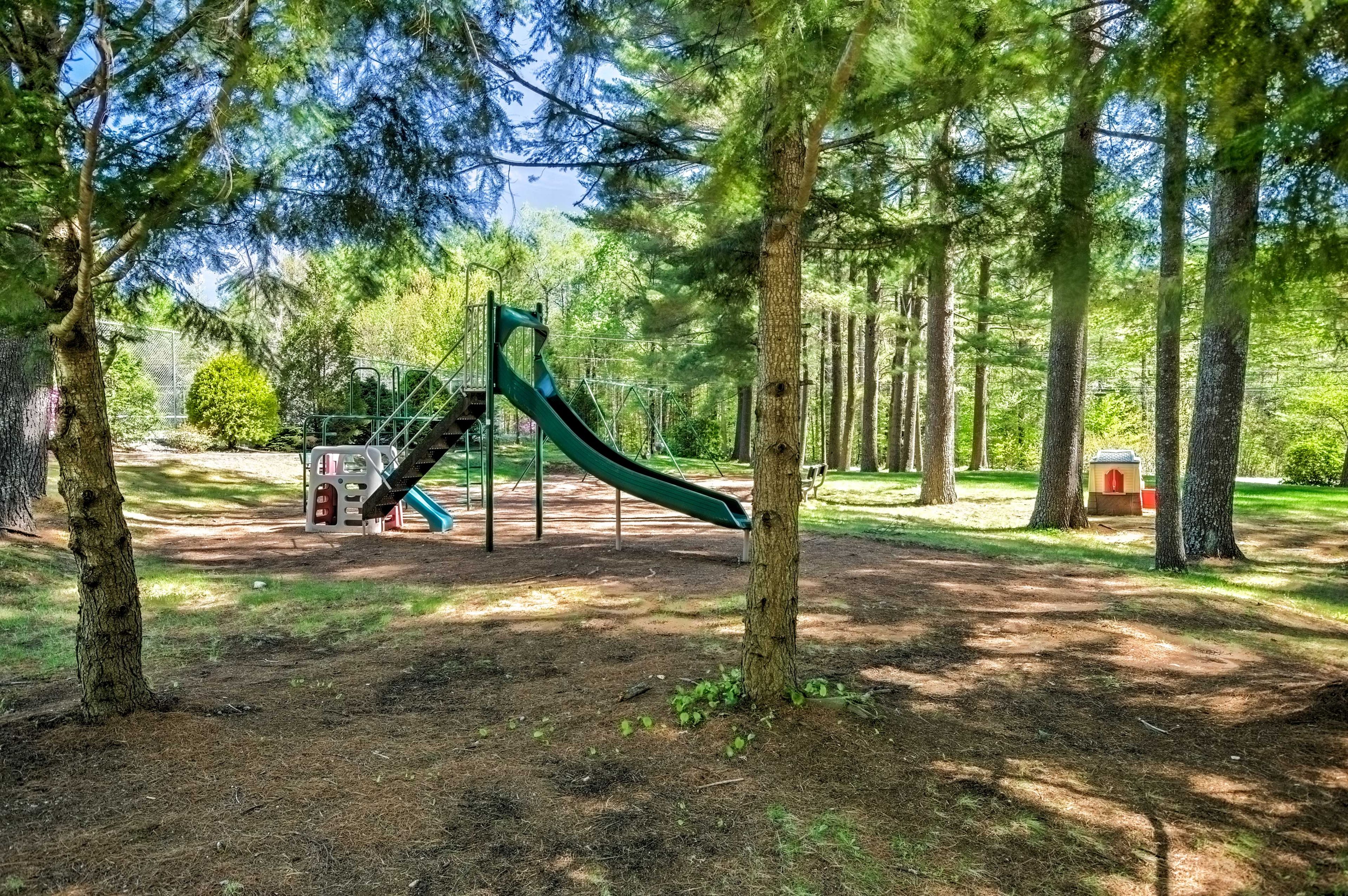 Community Park