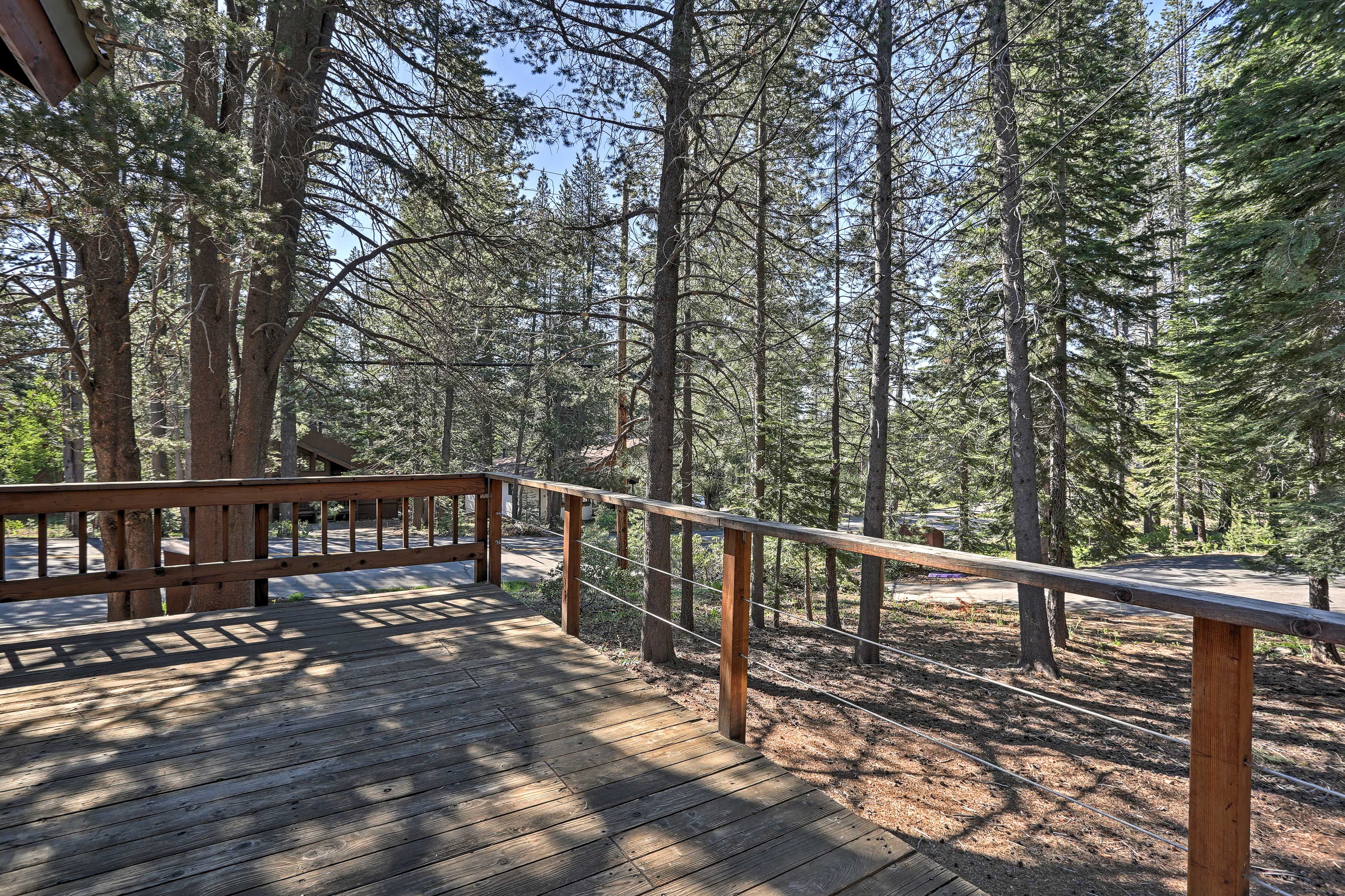 Towering trees surround the property.
