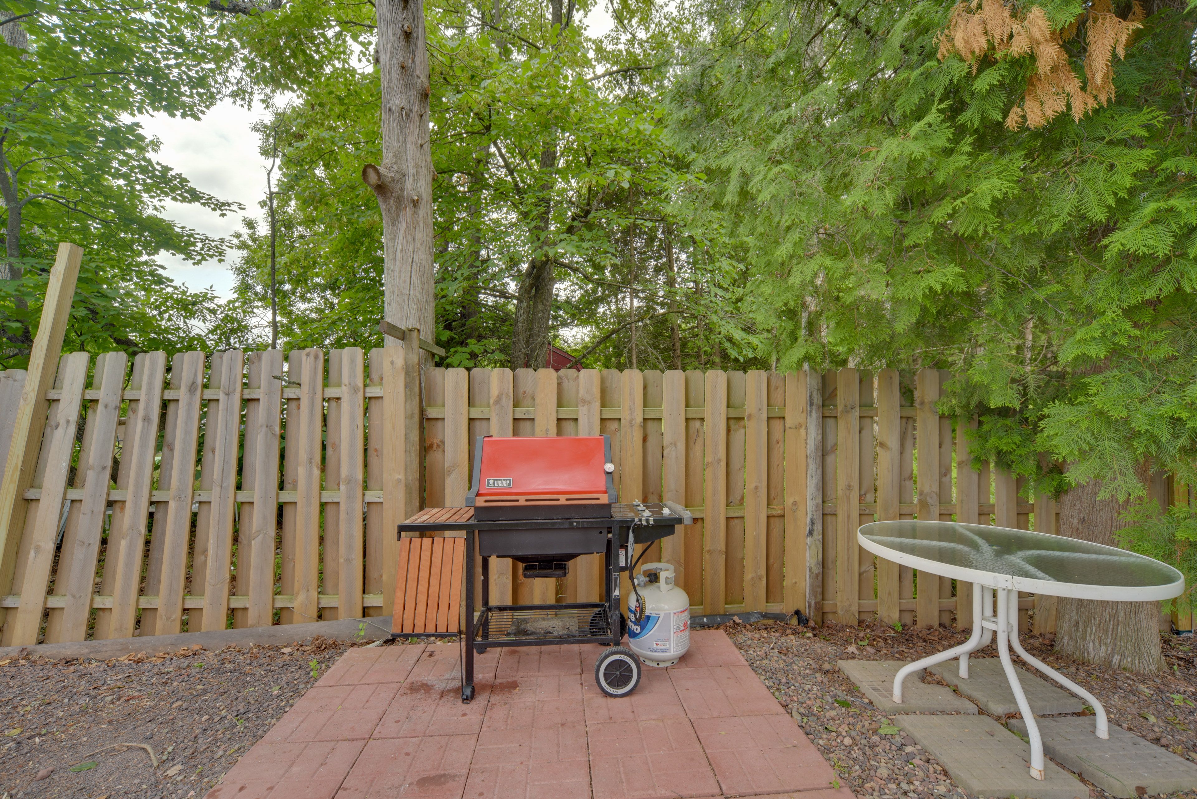 Gas Grill