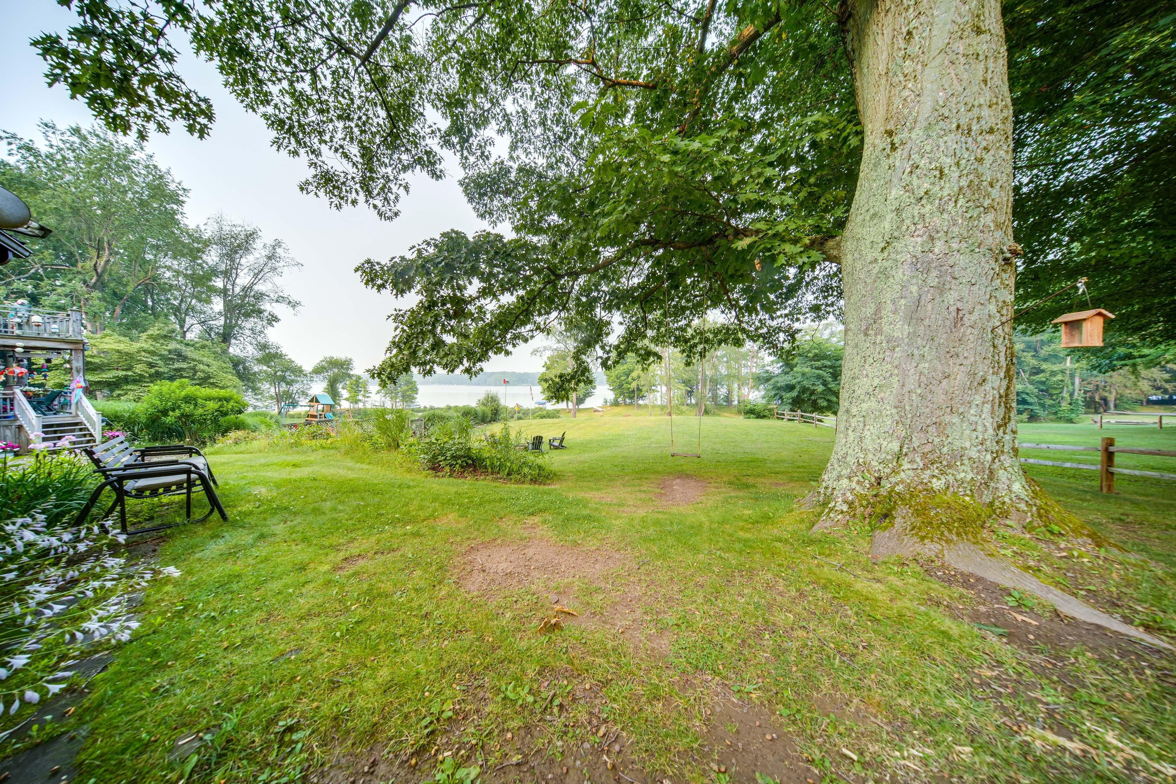 Image 28