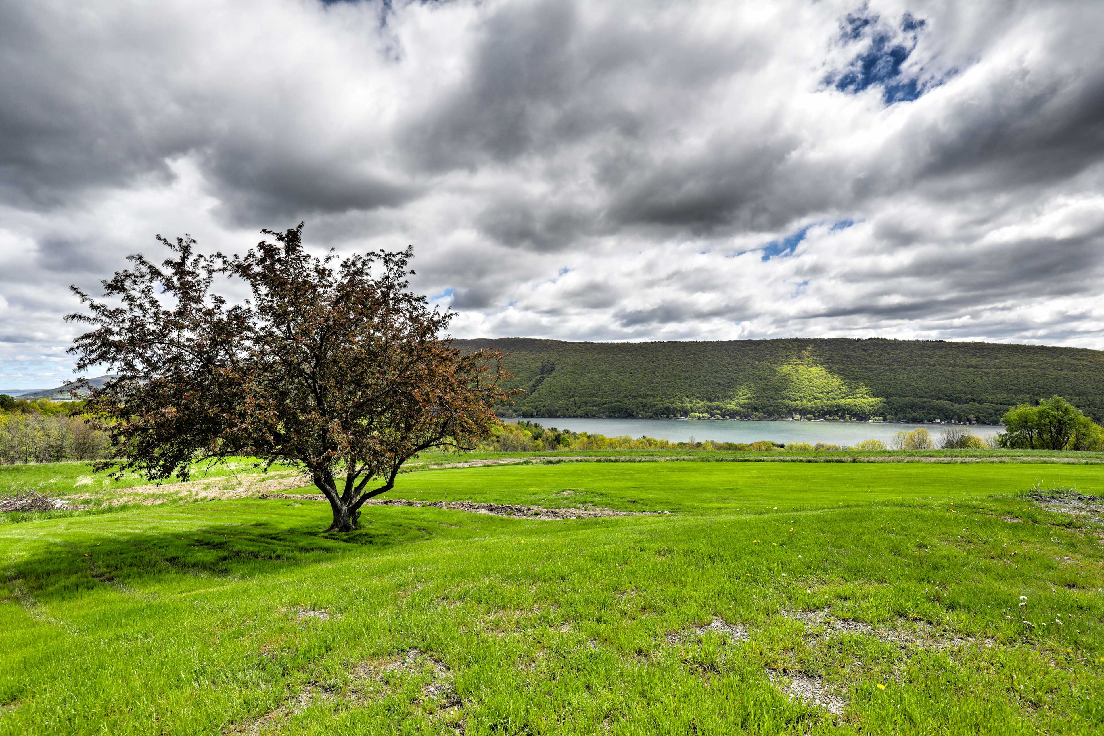 Property Views