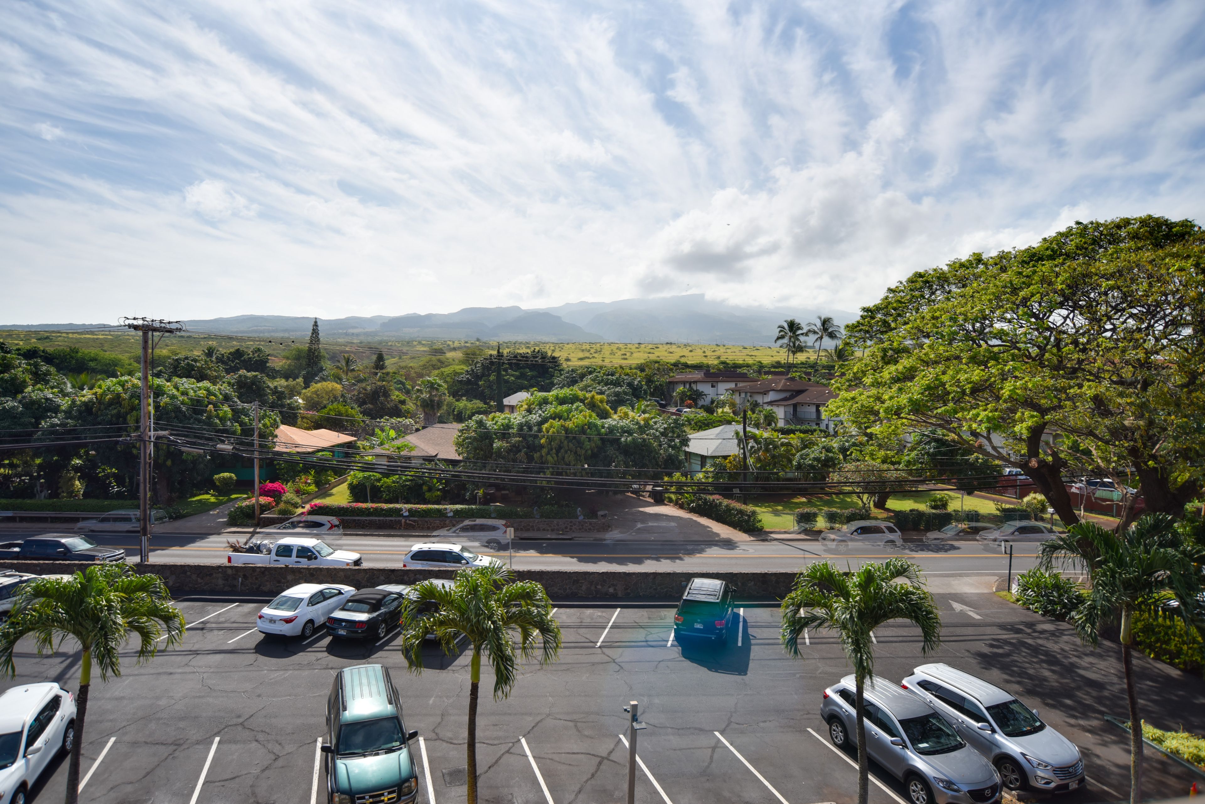 Parking | Community Lot (1 Vehicle)