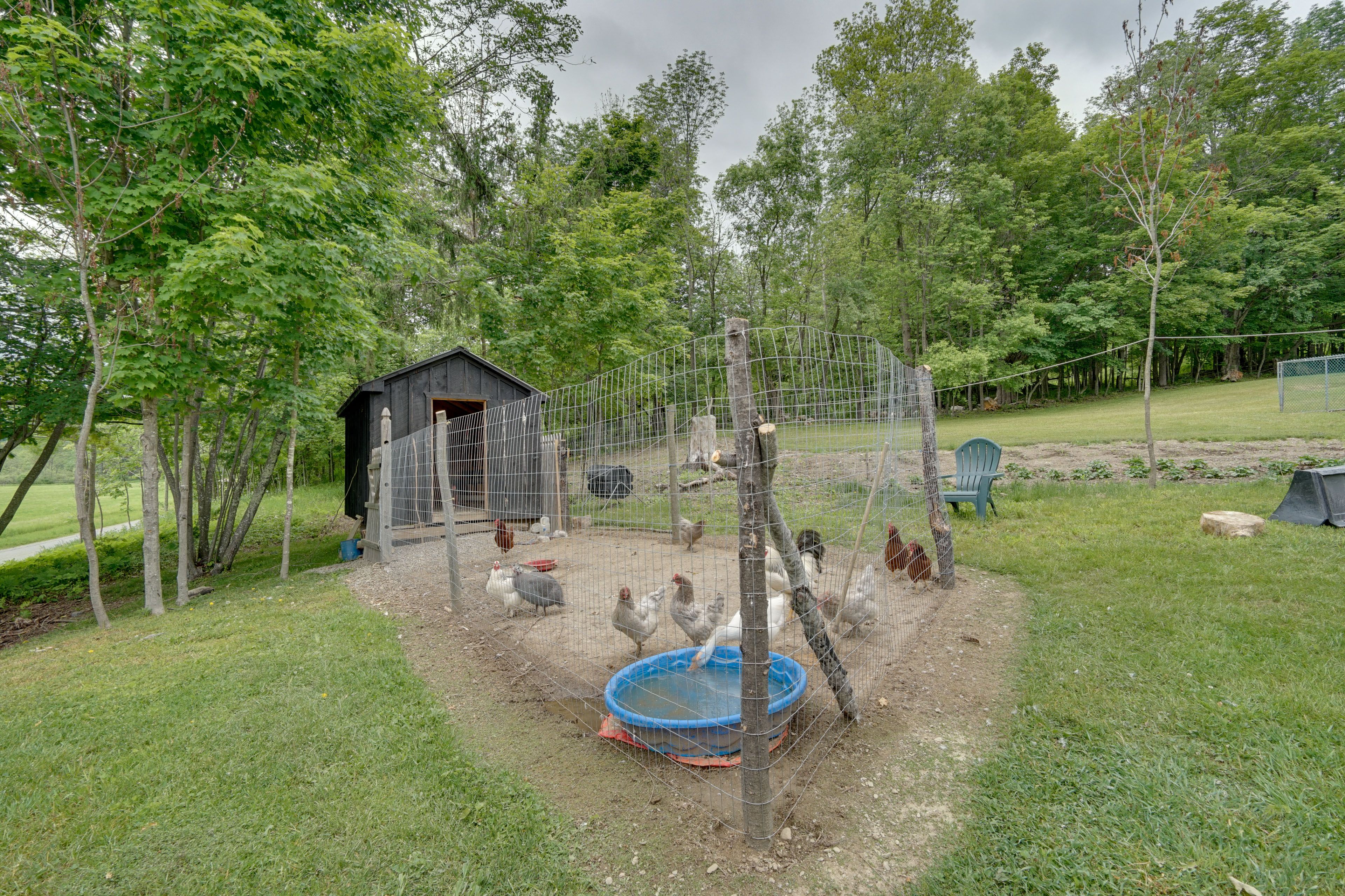 Chicken Coop