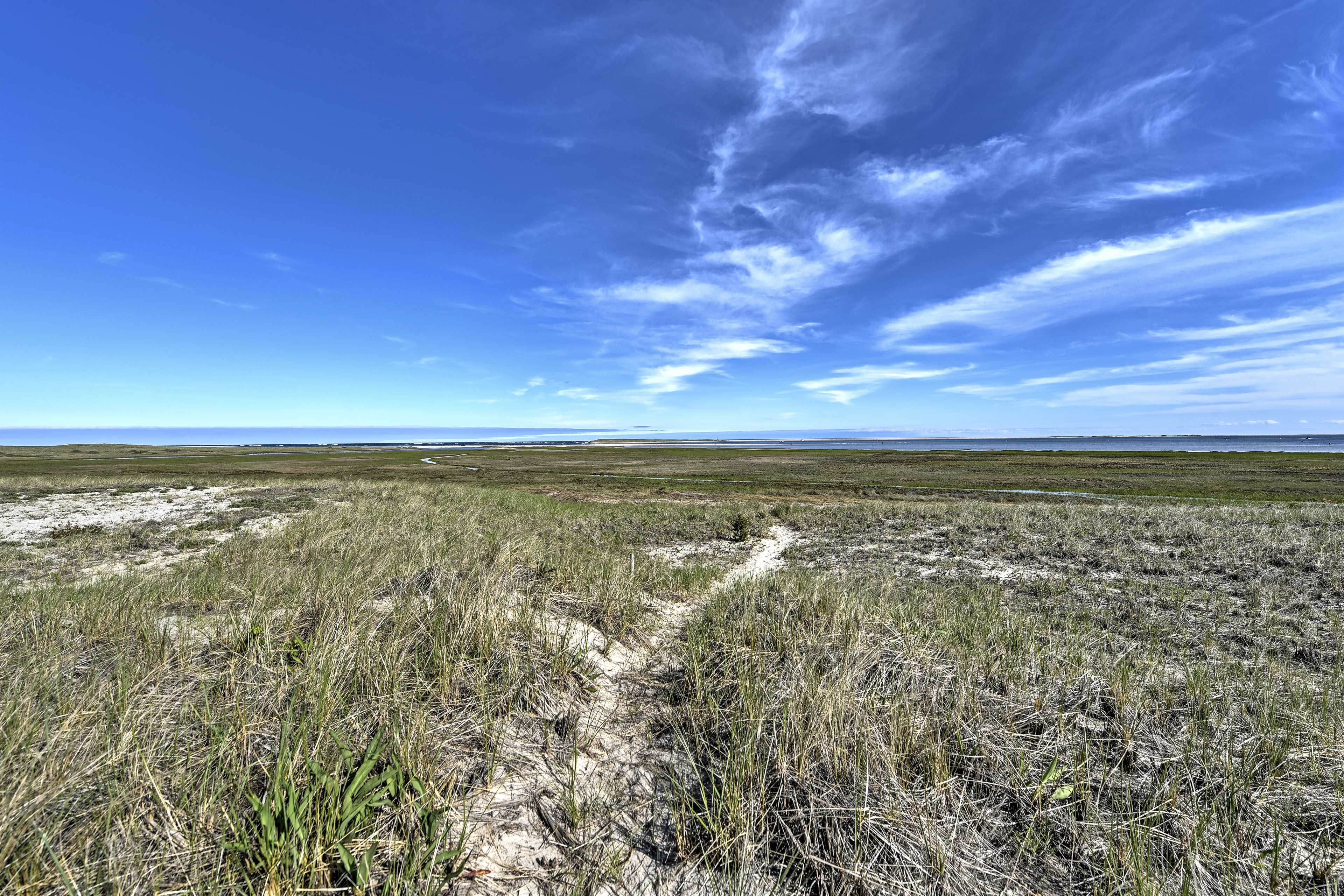 This marshy beach are provides a sense of serenity.
