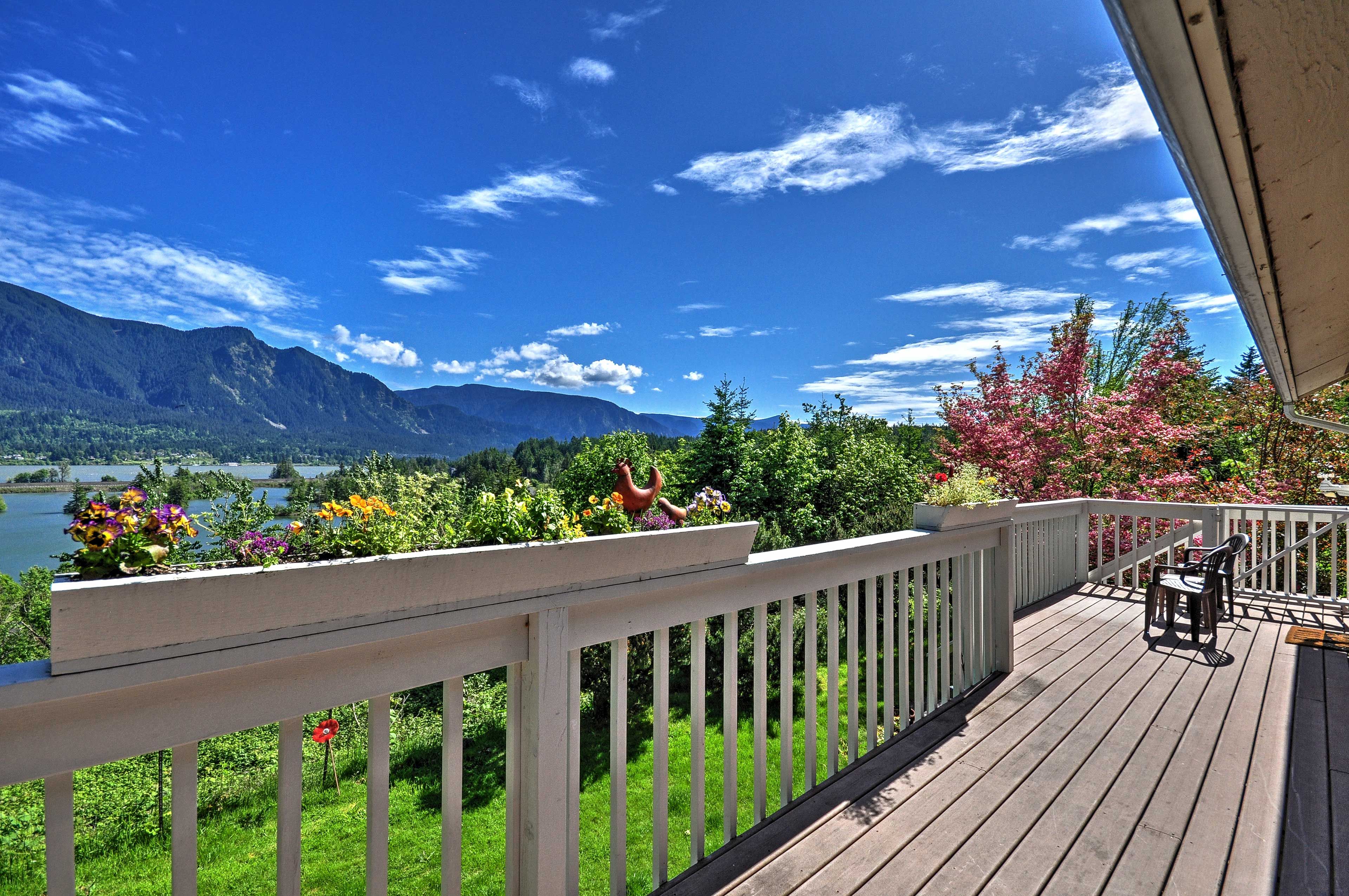 The view from 'Ann’s Aerie' is nothing short of spectacular!