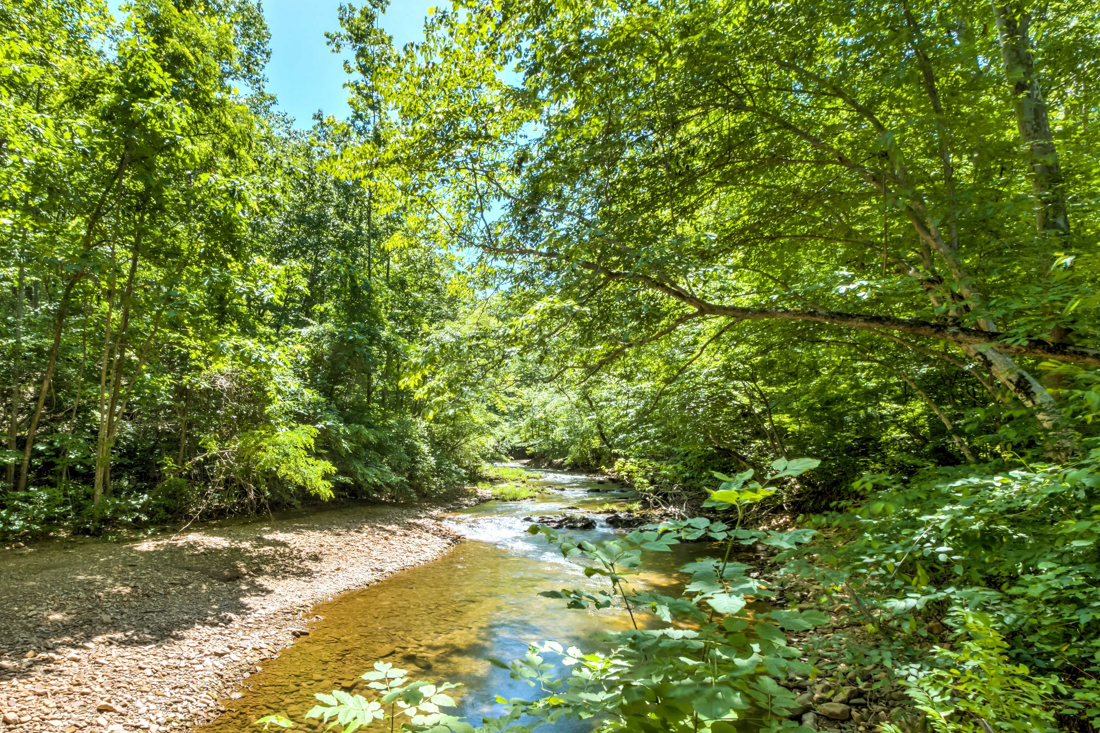 Stream | Stocked w/ Fish