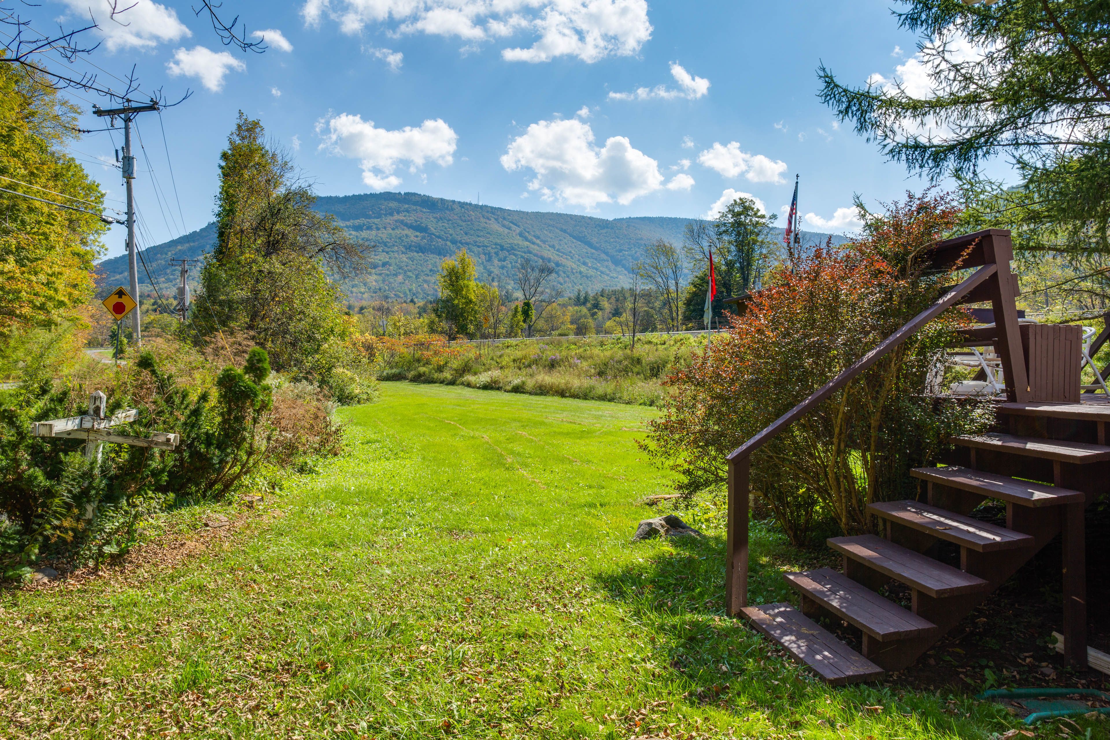 Spacious Yard