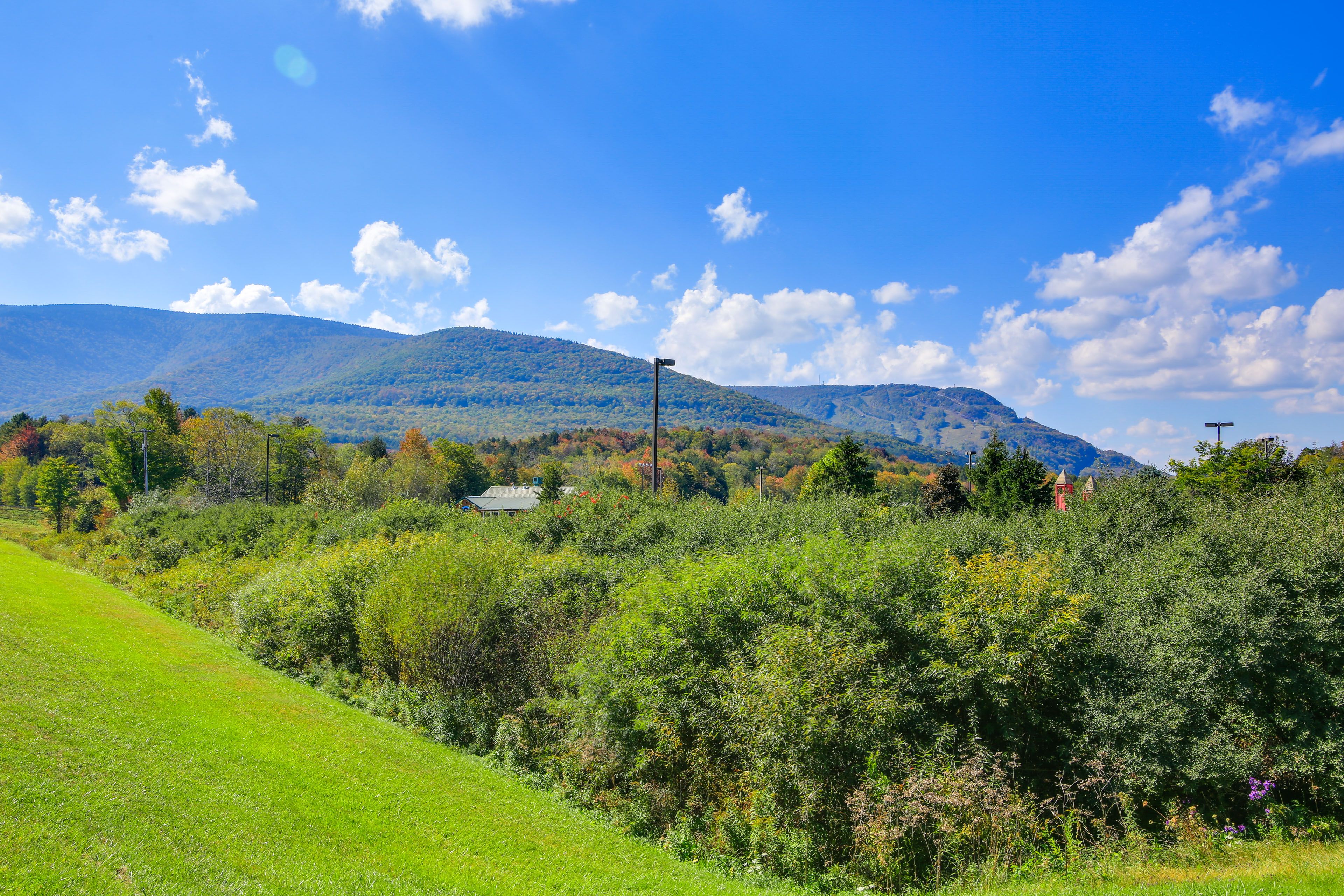 Surrounding Views