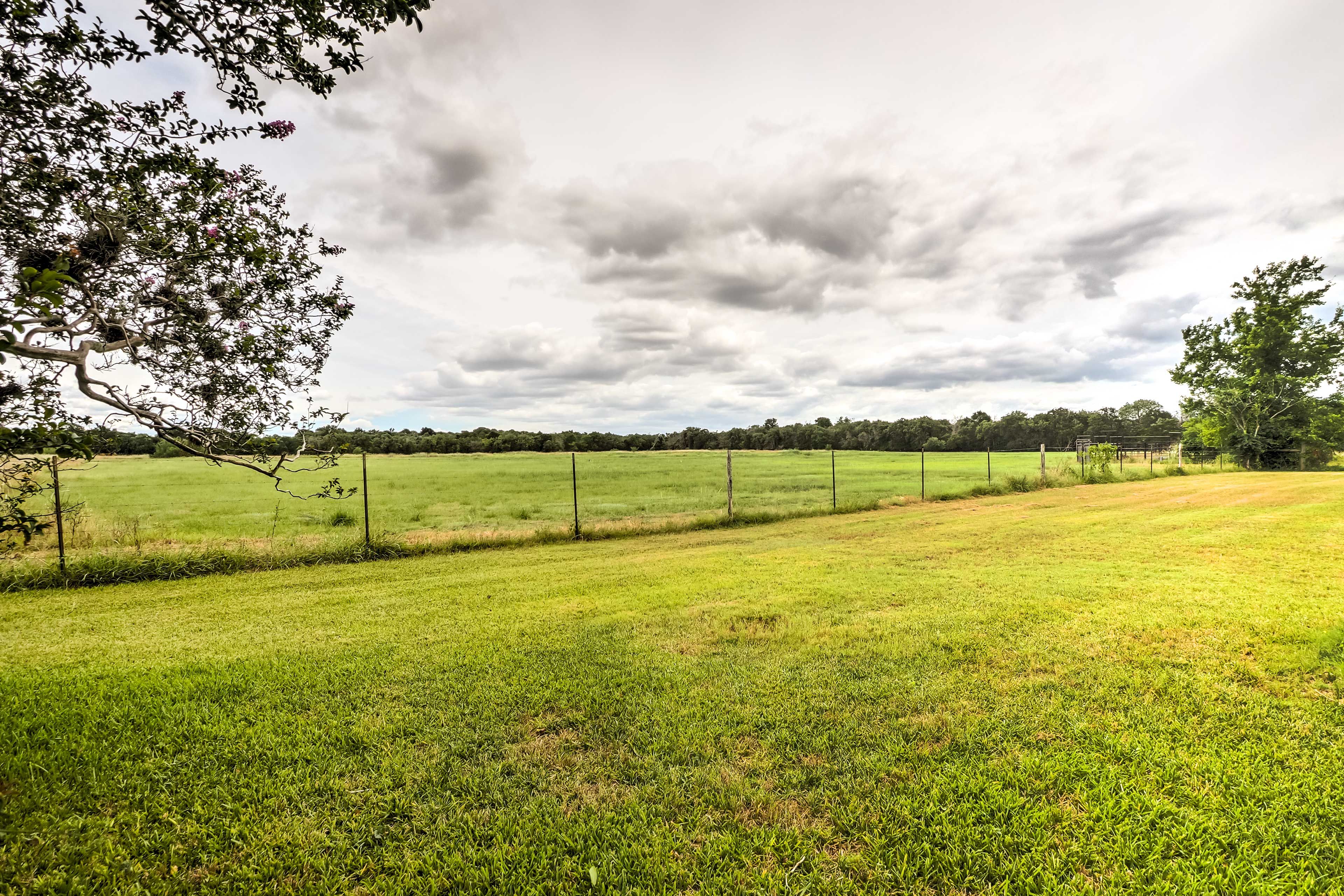 Outdoor Space | 60-Acre Farm
