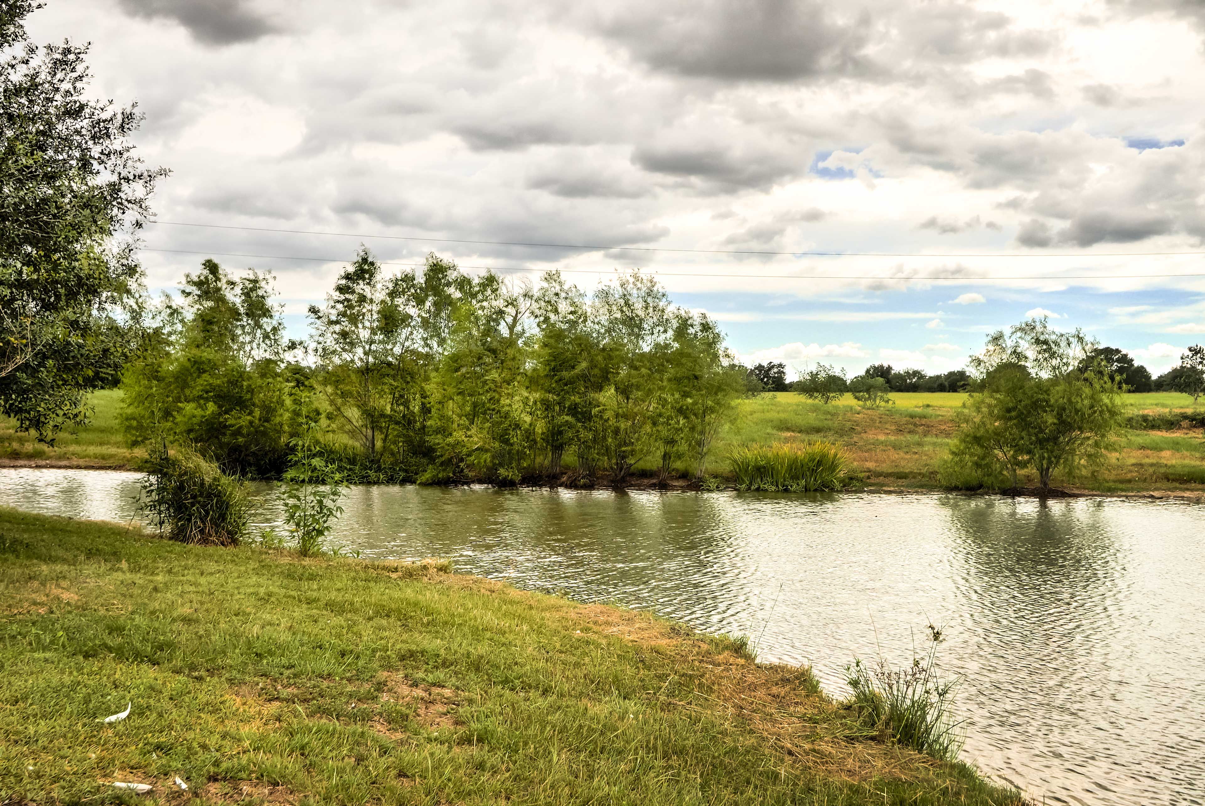Pond