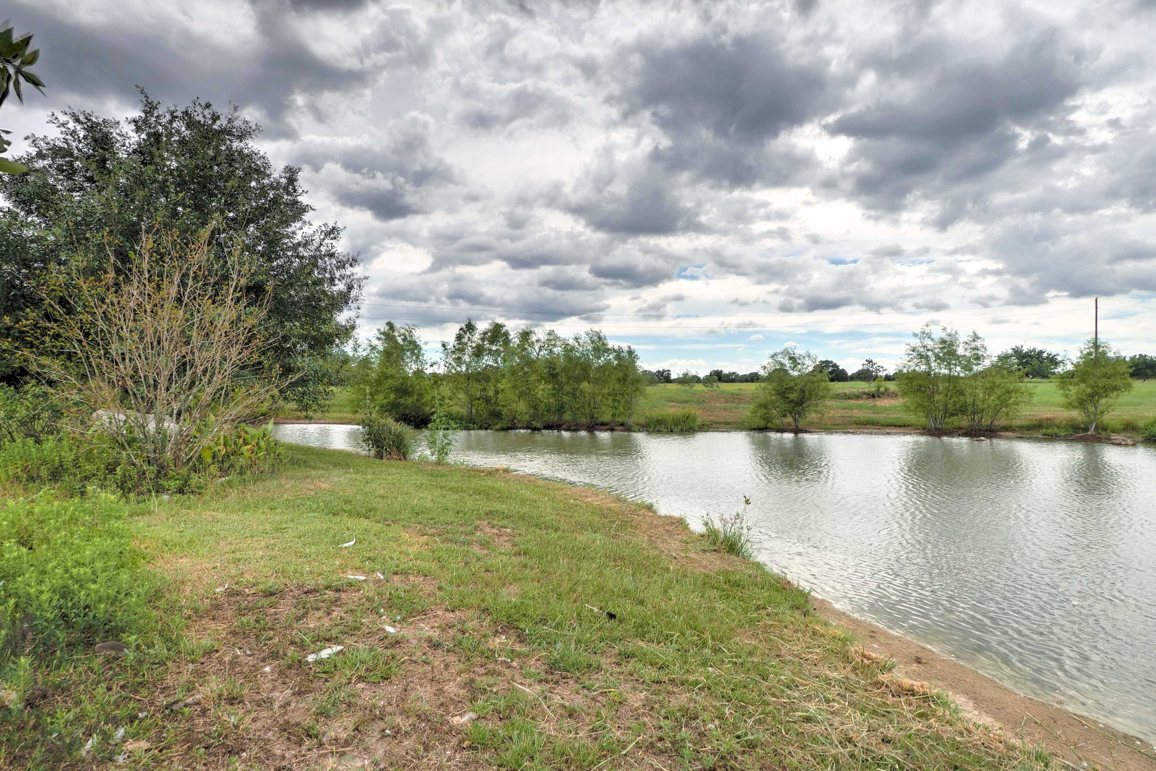 Pond