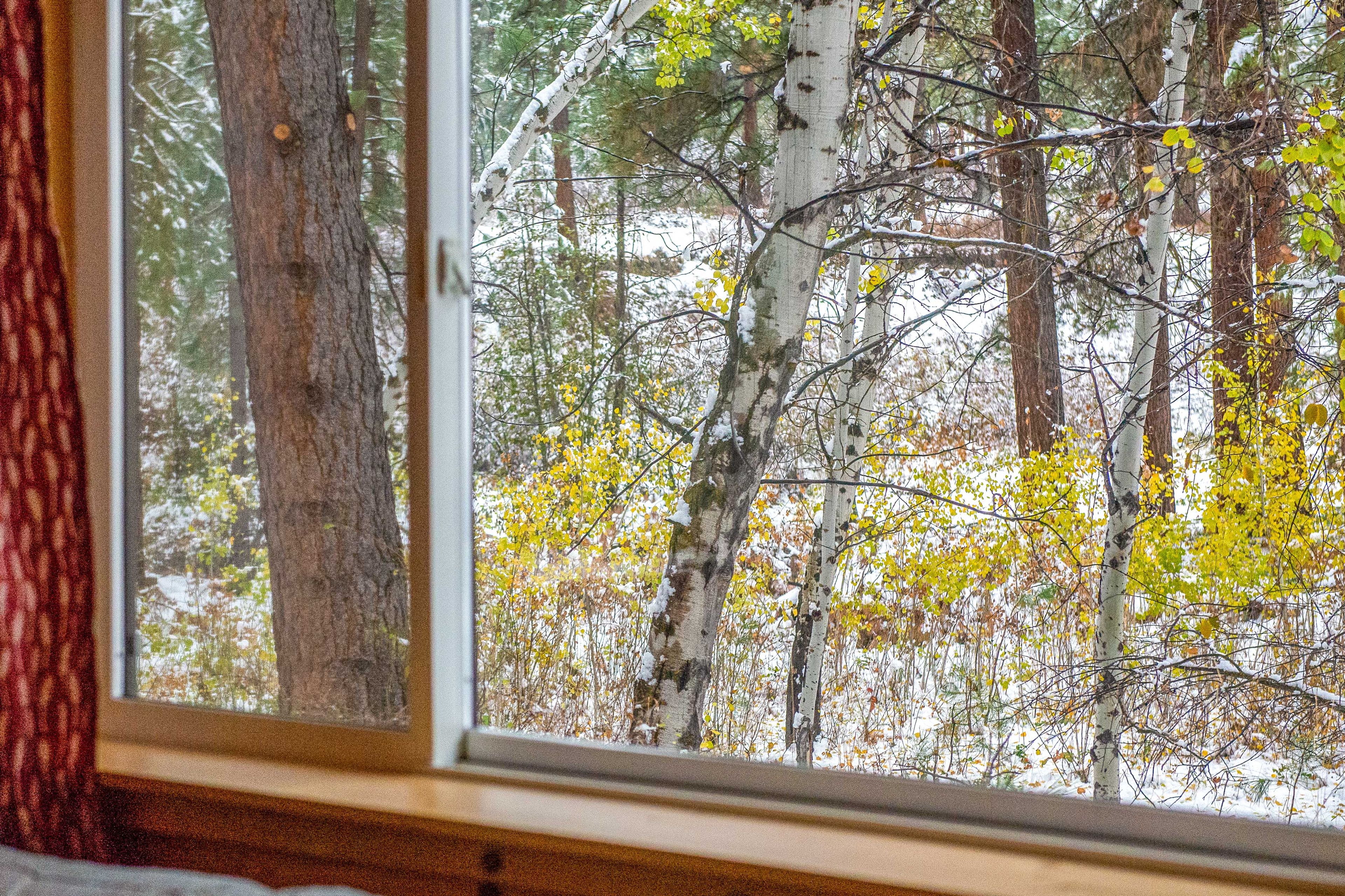 Wood Views