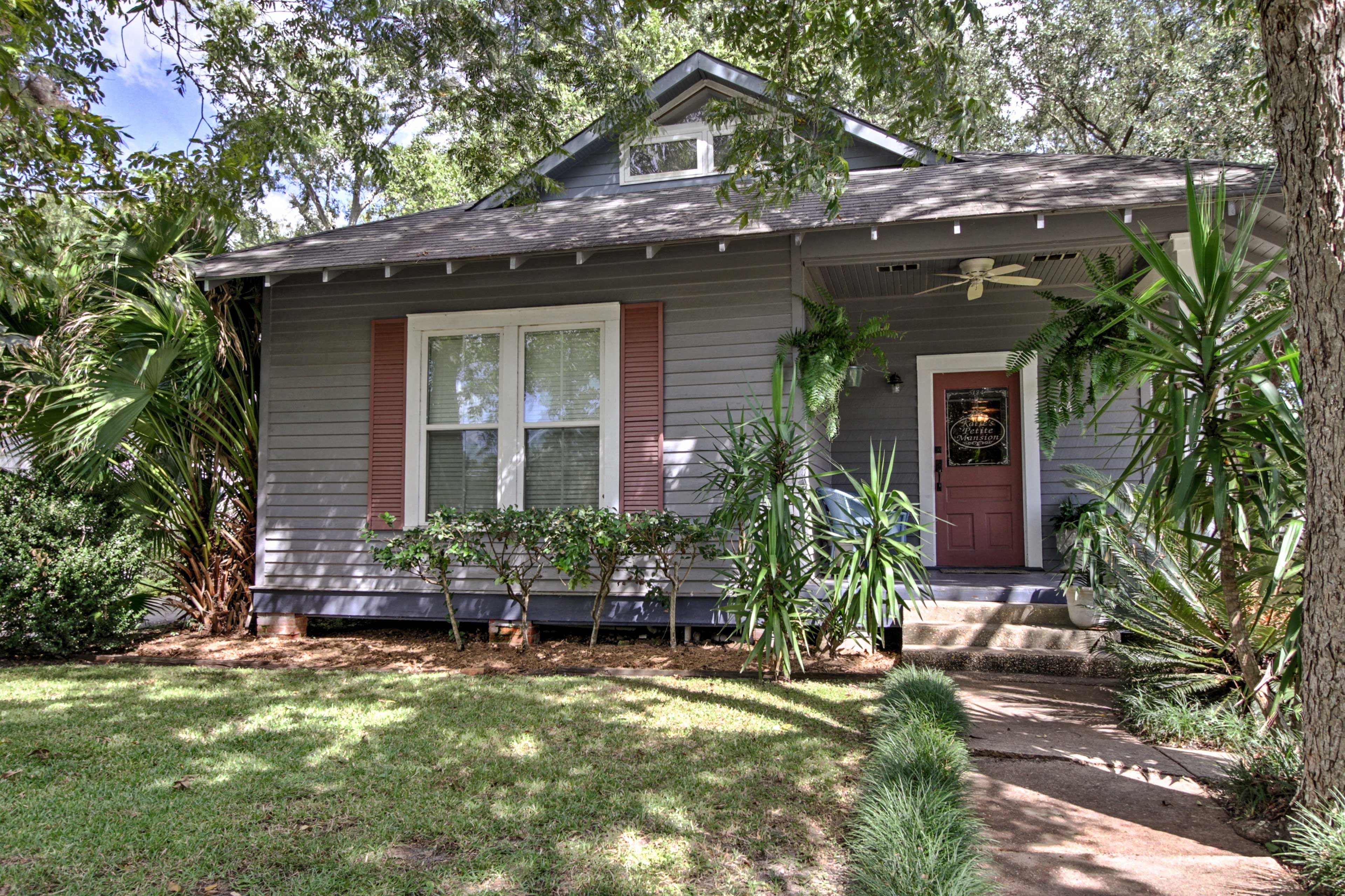 This home is surrounded by towering trees and plants.