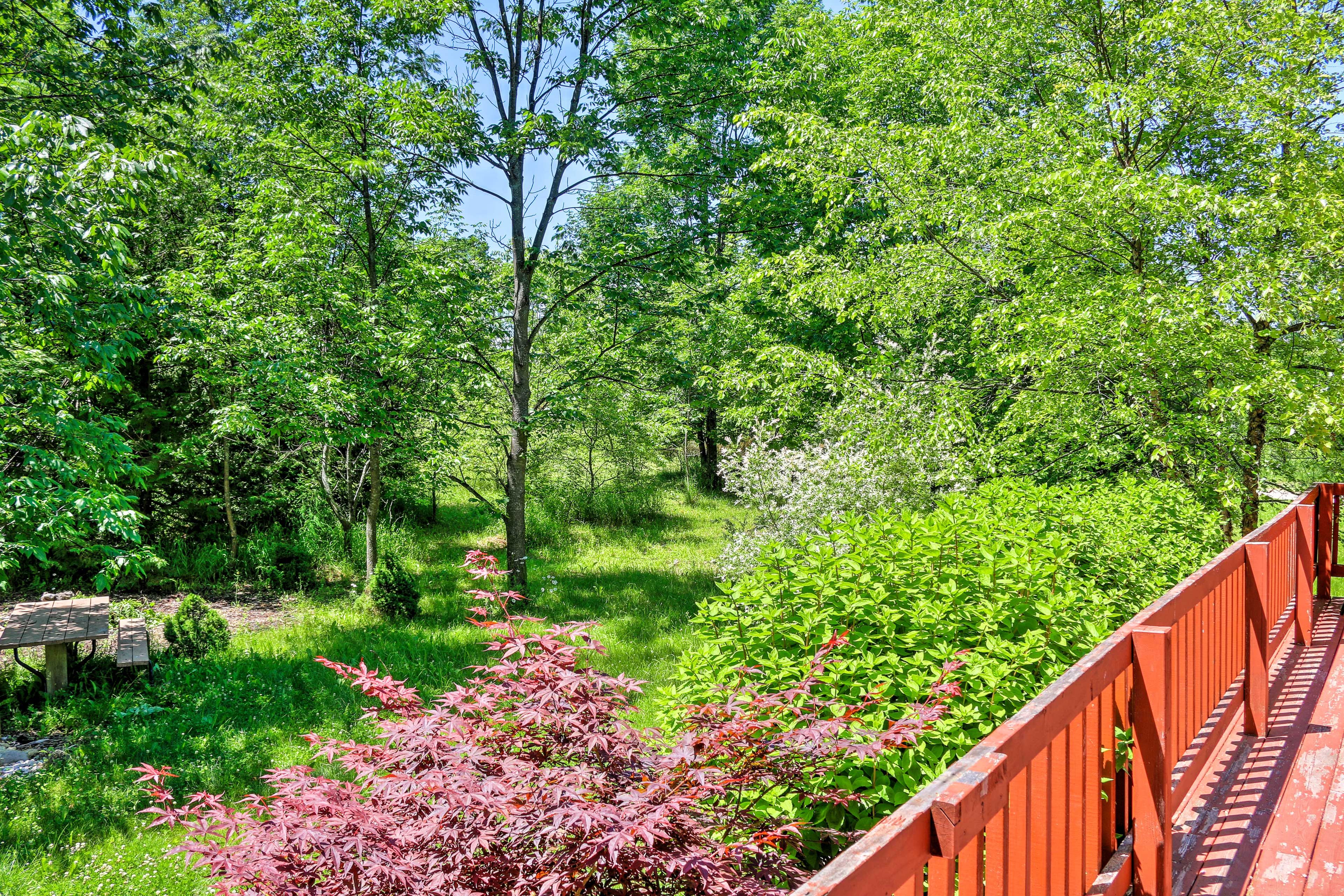 Natural Surroundings