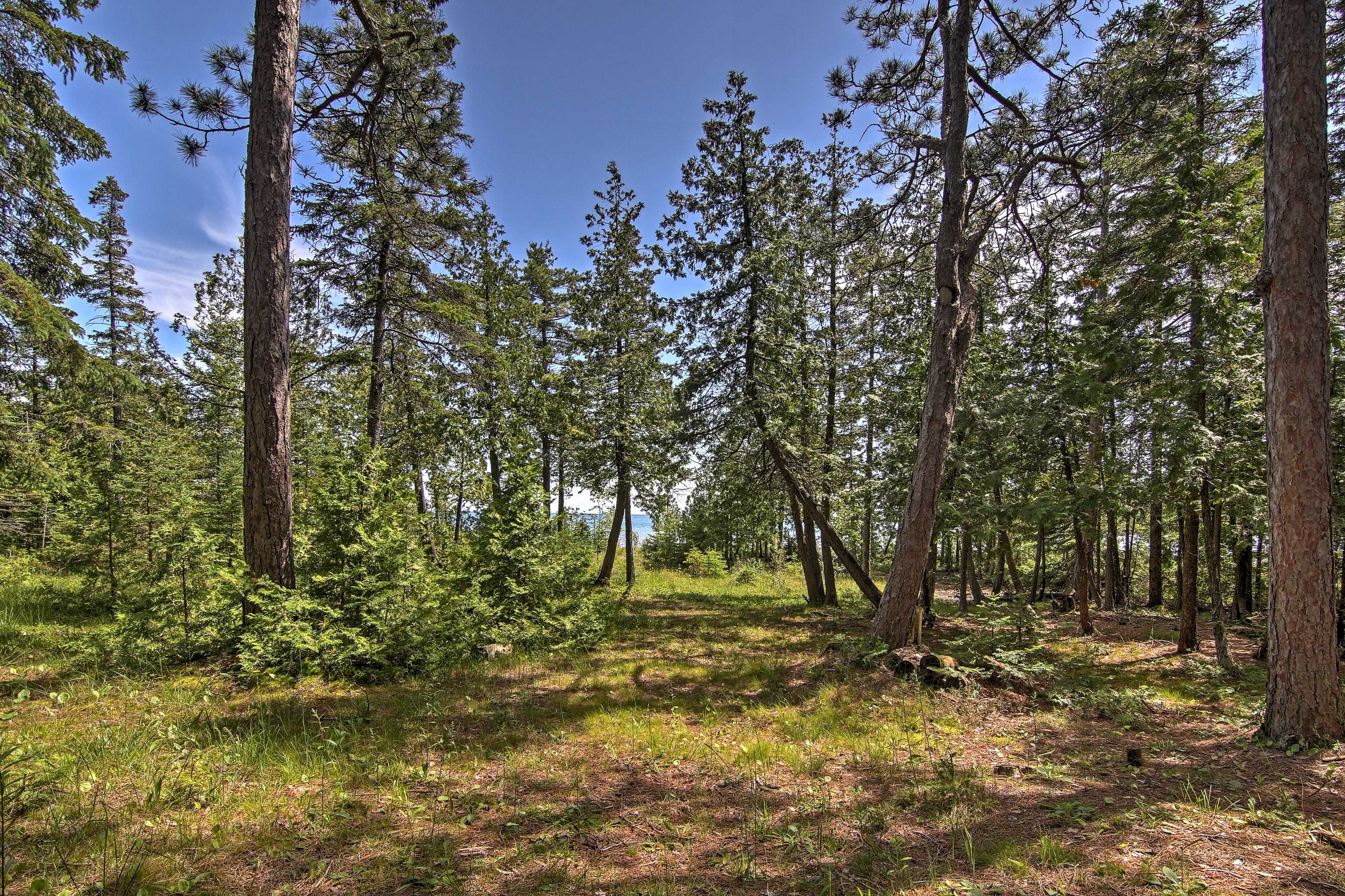 Path to Lake