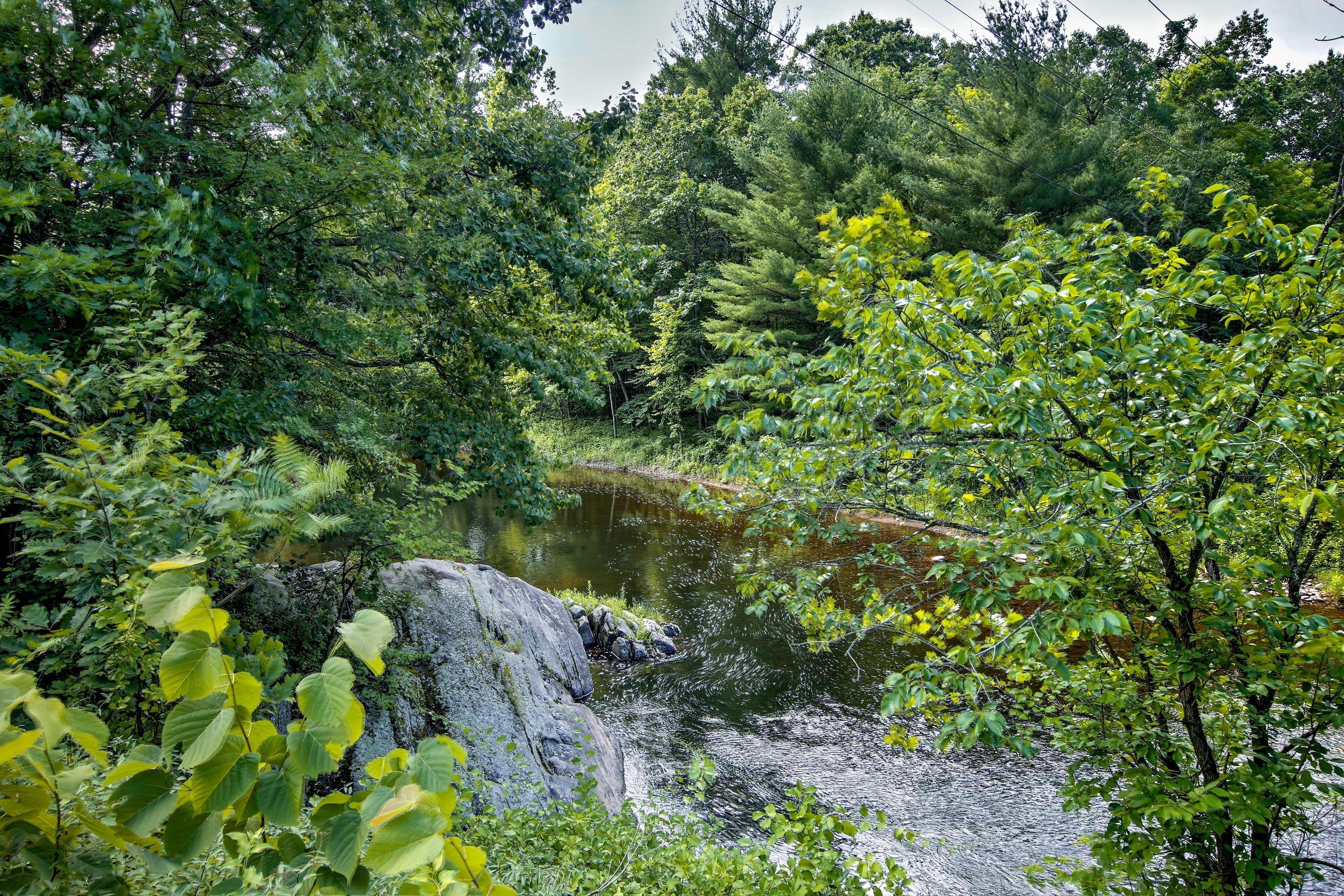 Image 23