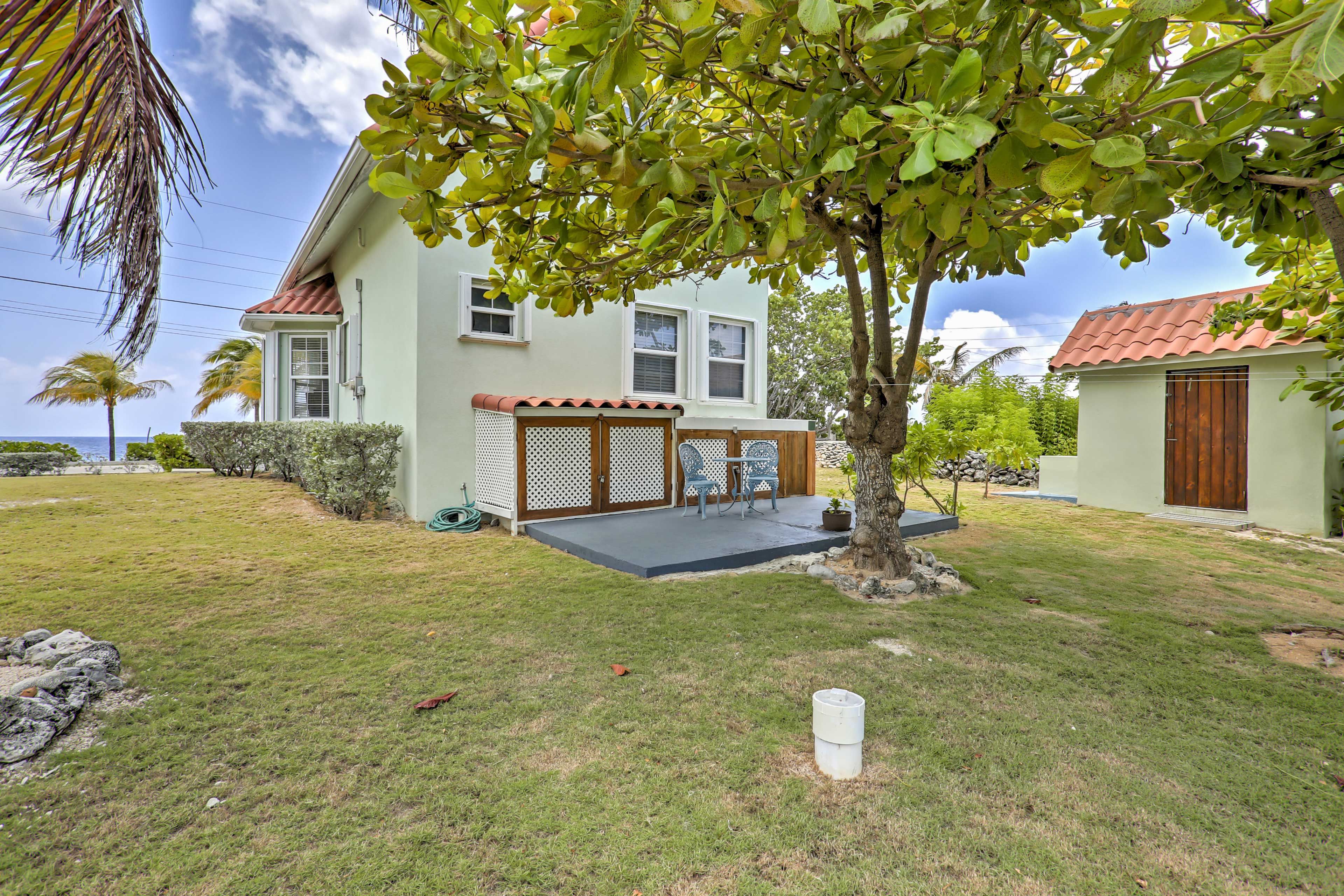 Outdoor Space | Fruit Trees