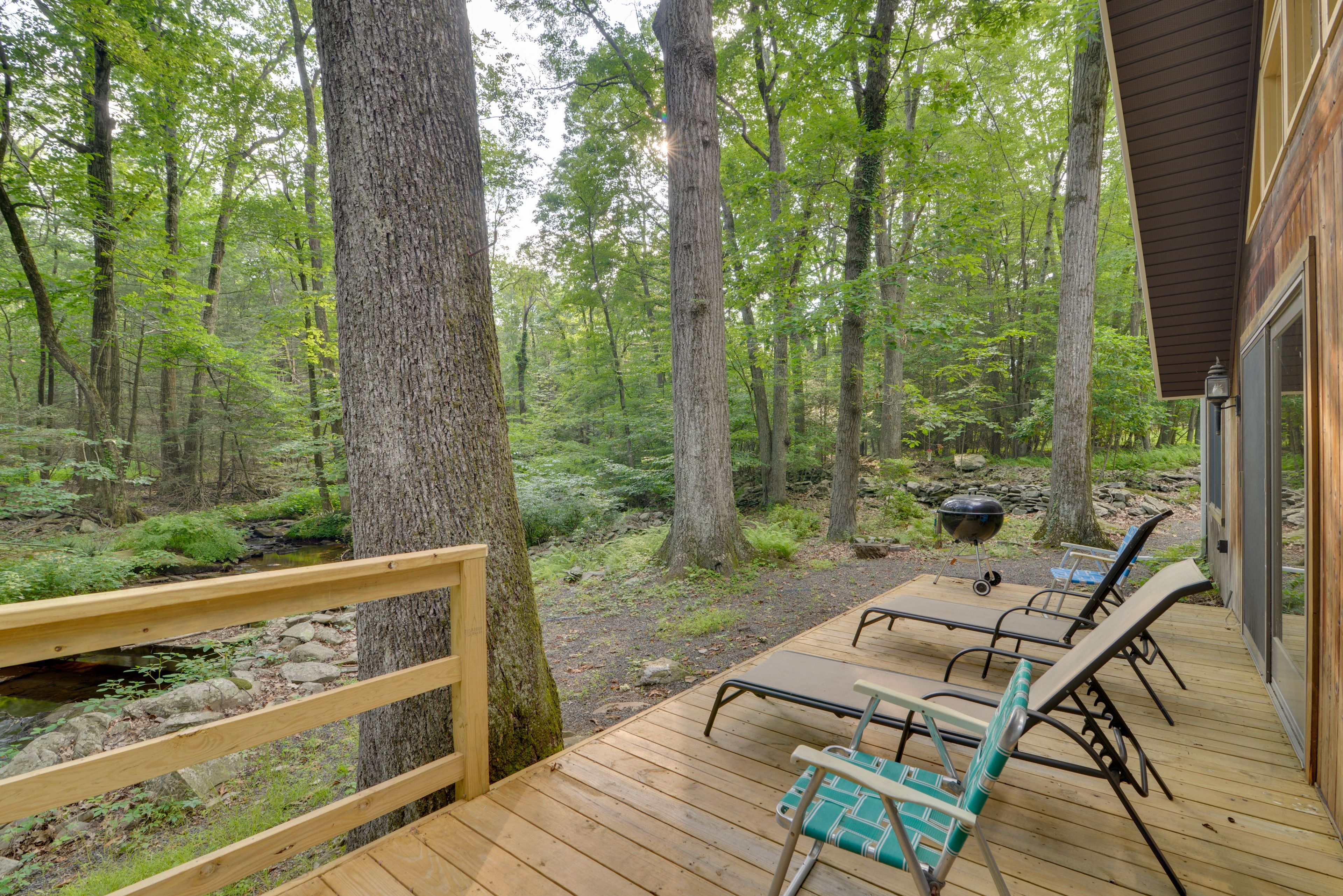 Deck | Charcoal Grill
