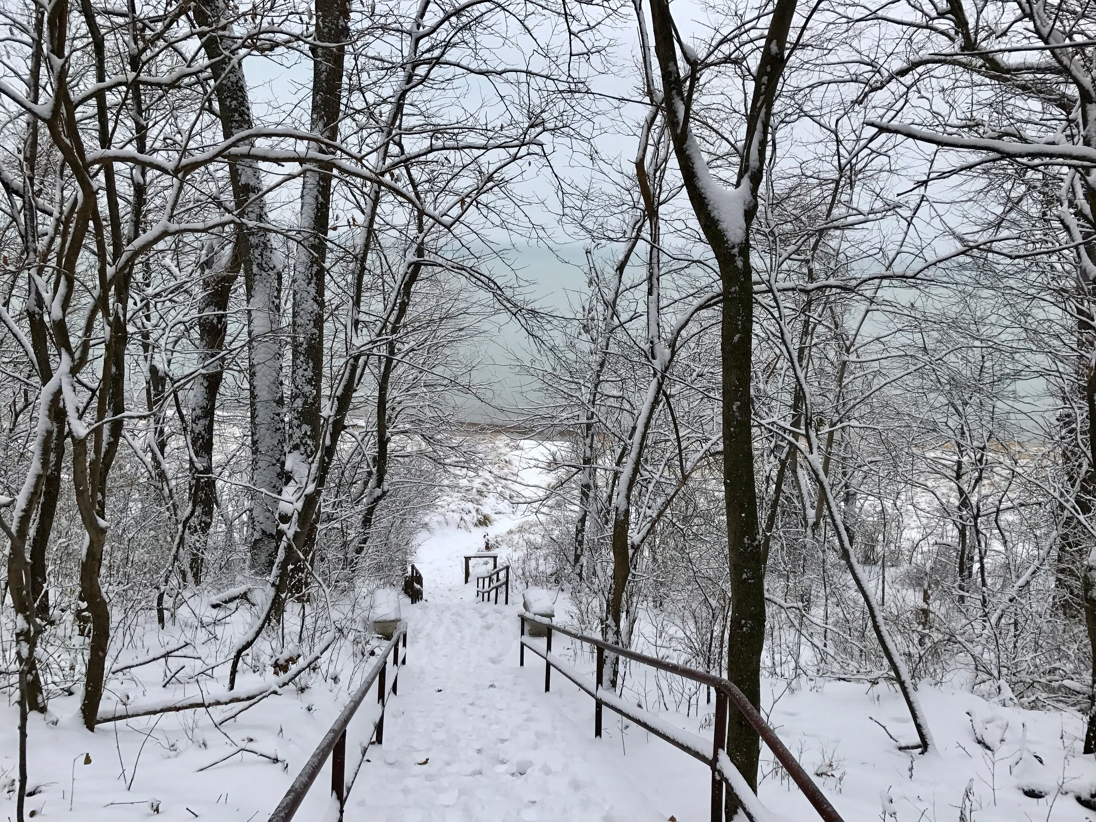 Winter Exterior