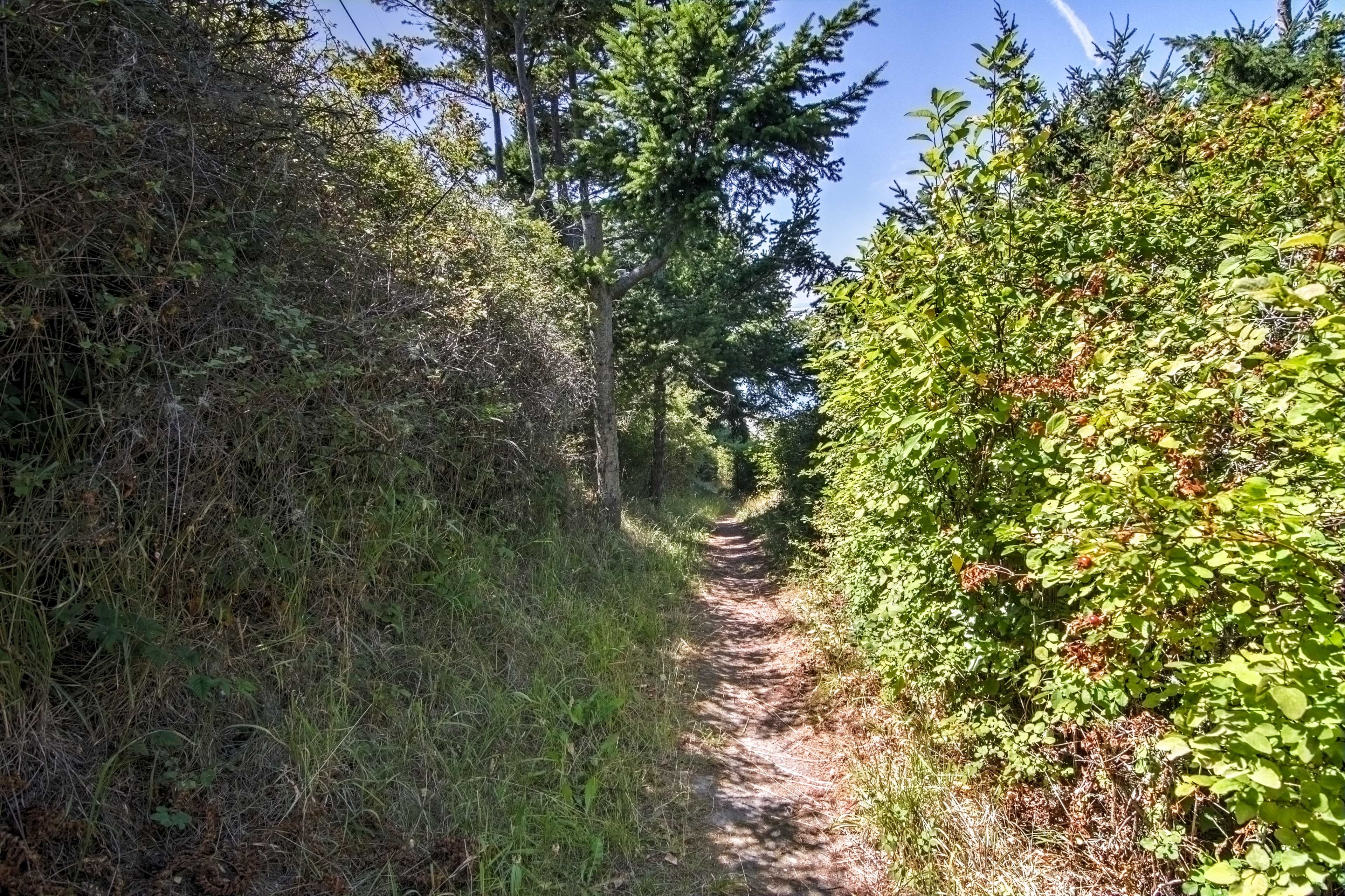Find trails to explore by foot during your stay.