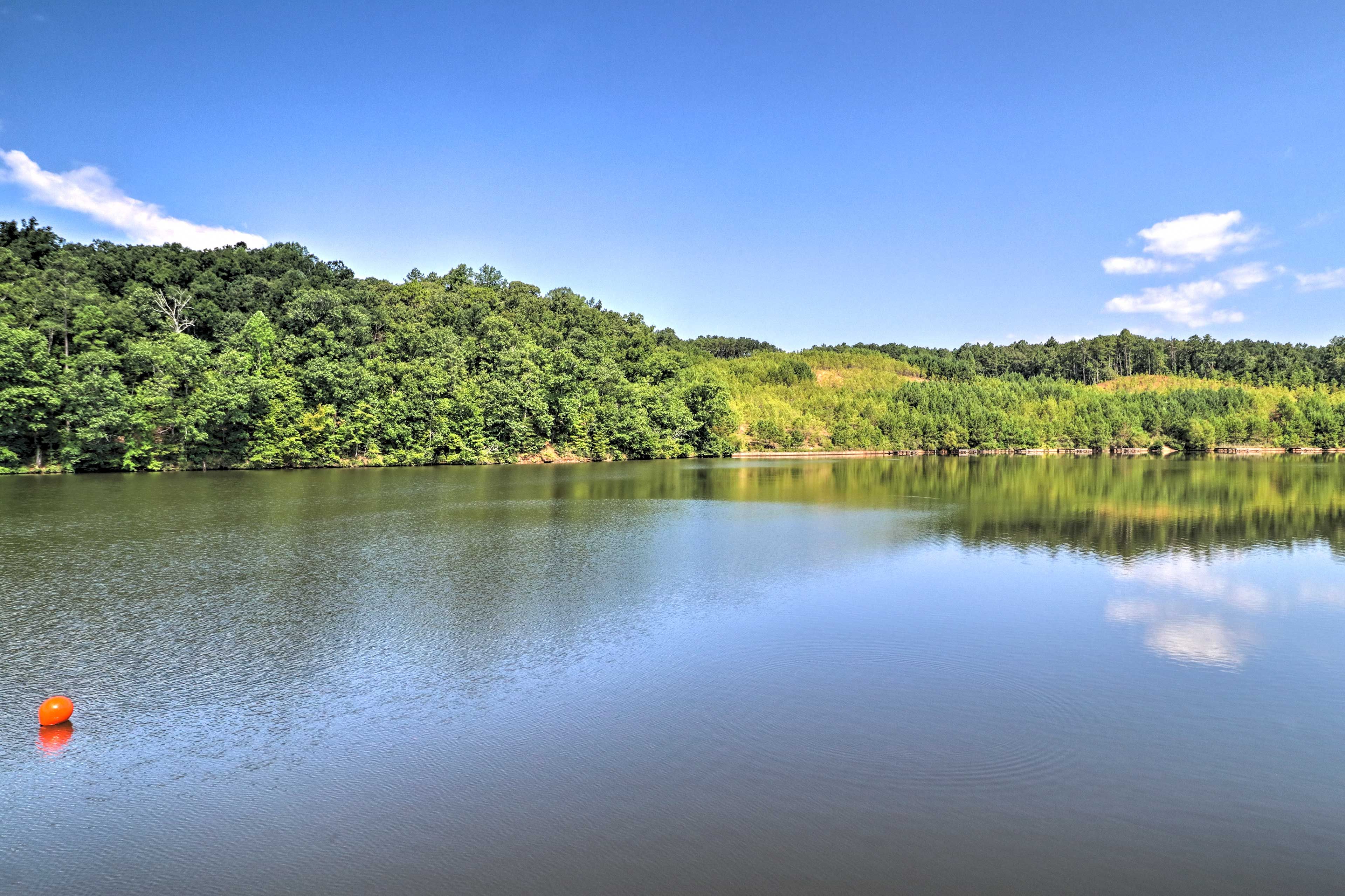 Lake Views