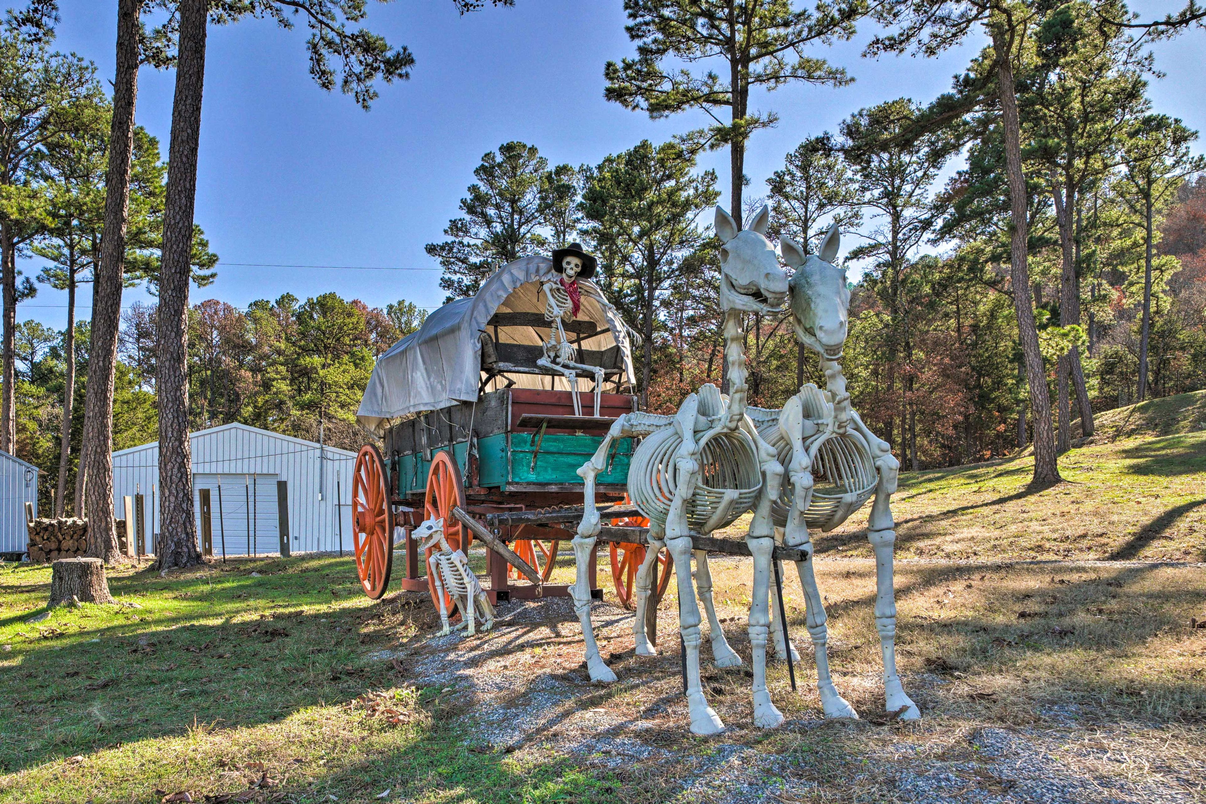 Spacious Yard | Scenic Views