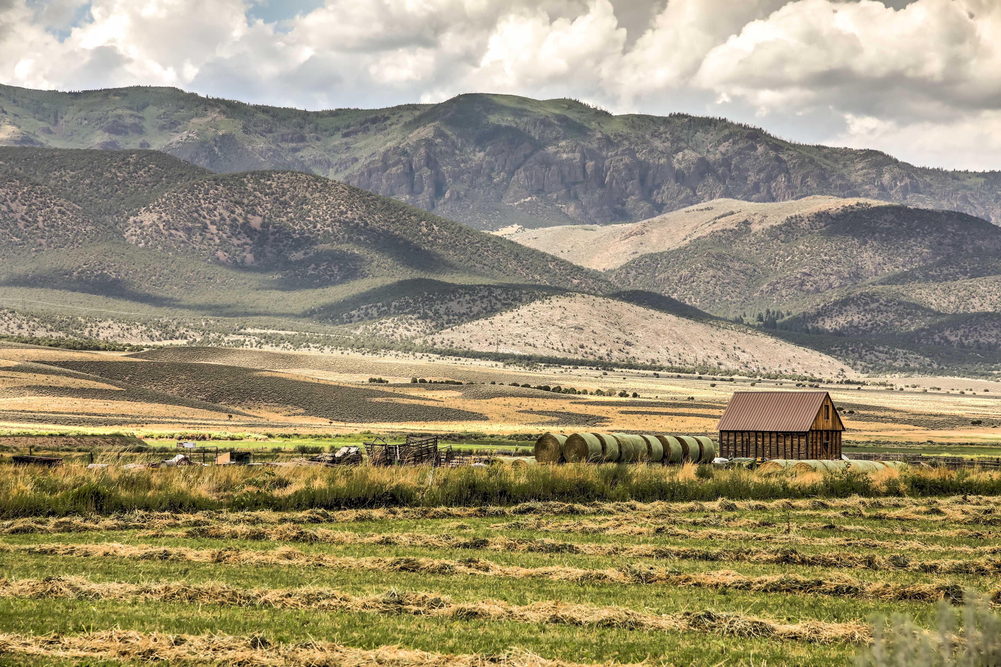 Landscape Views