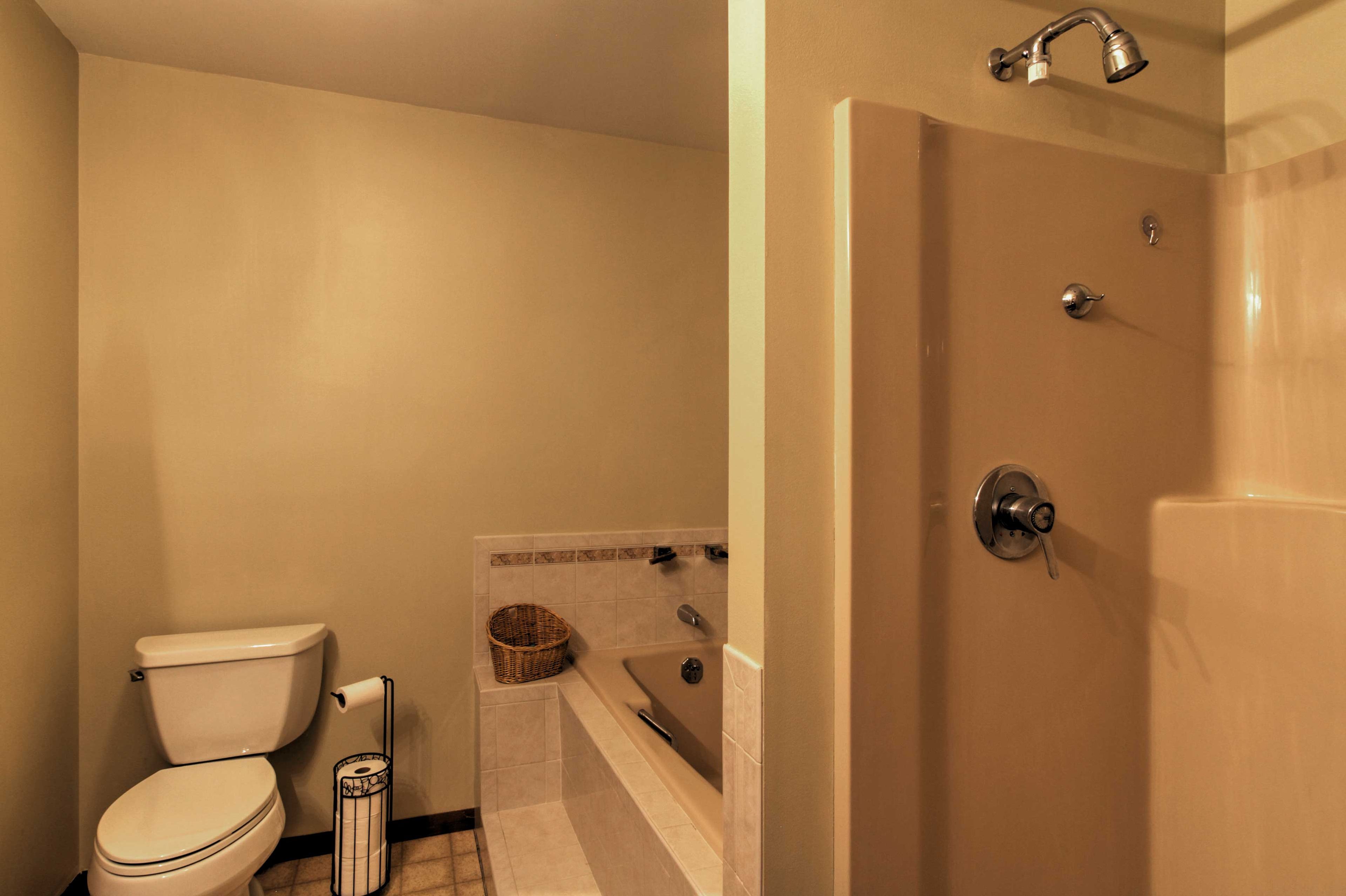 Full Bathroom | Hair Dryer
