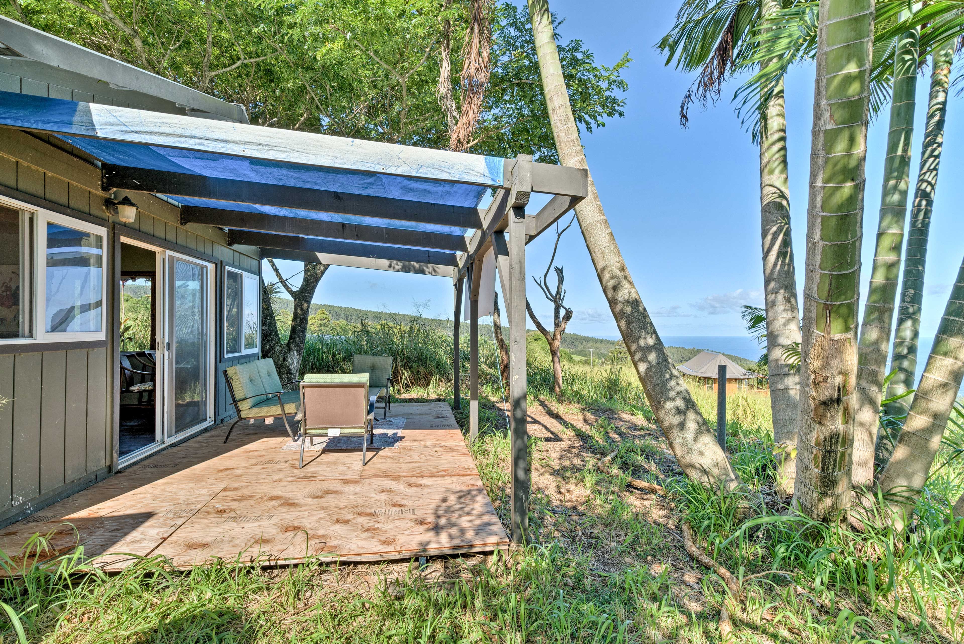 Flanked by large fruit trees, the patio is shaded and comfortable.