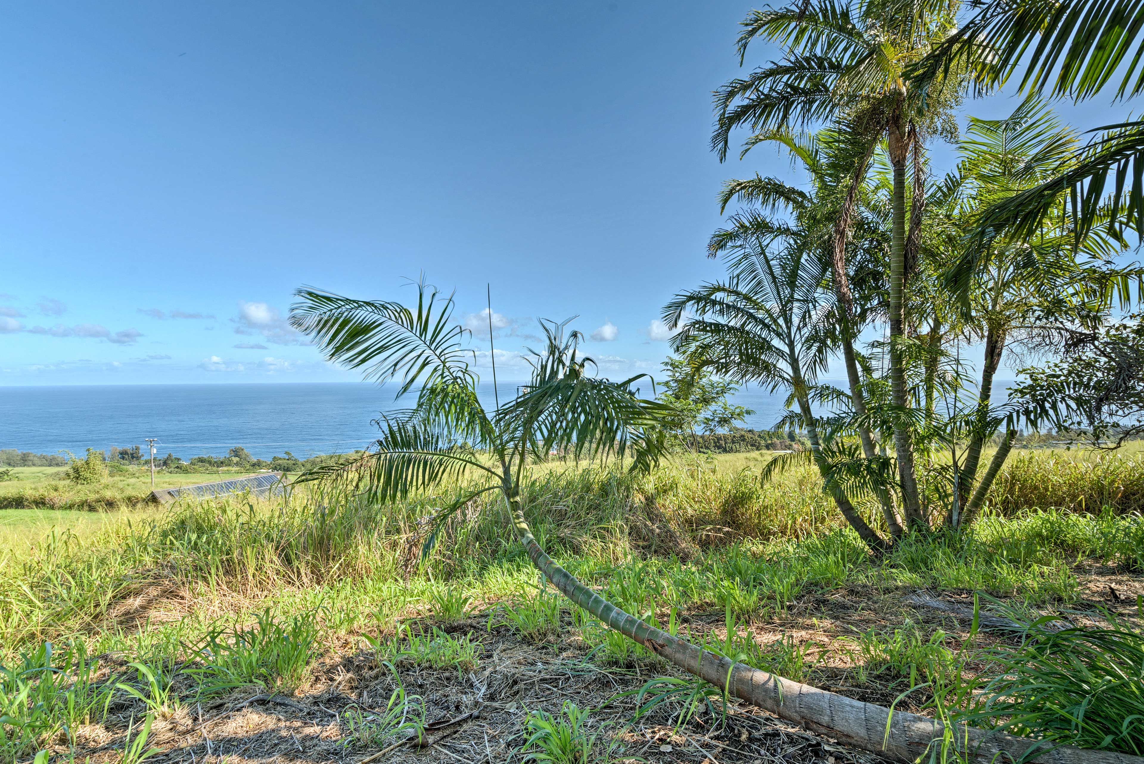 This home offers a decommercialized island experience.
