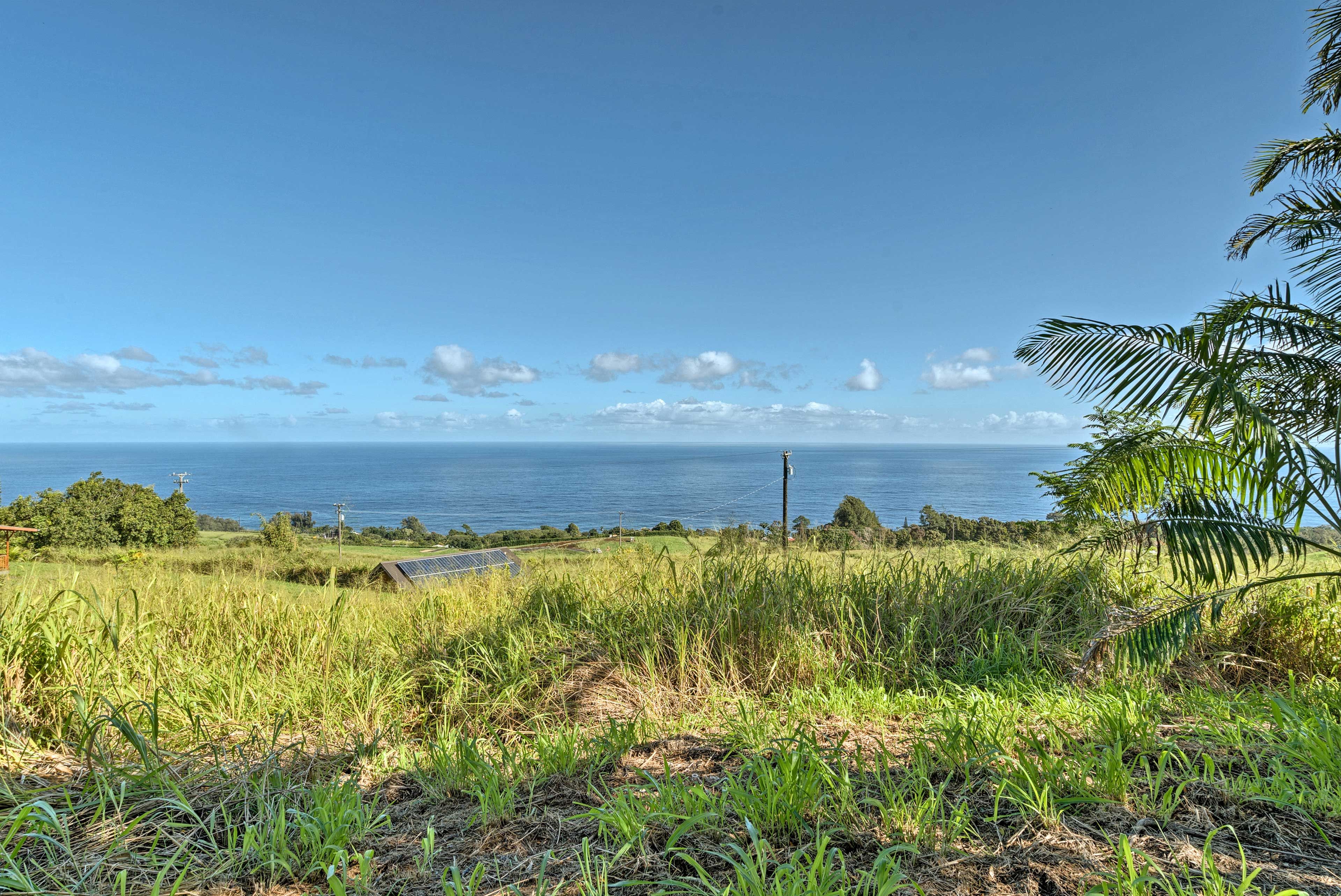 Located on a bluff with ocean views, this home provides a break from the city.
