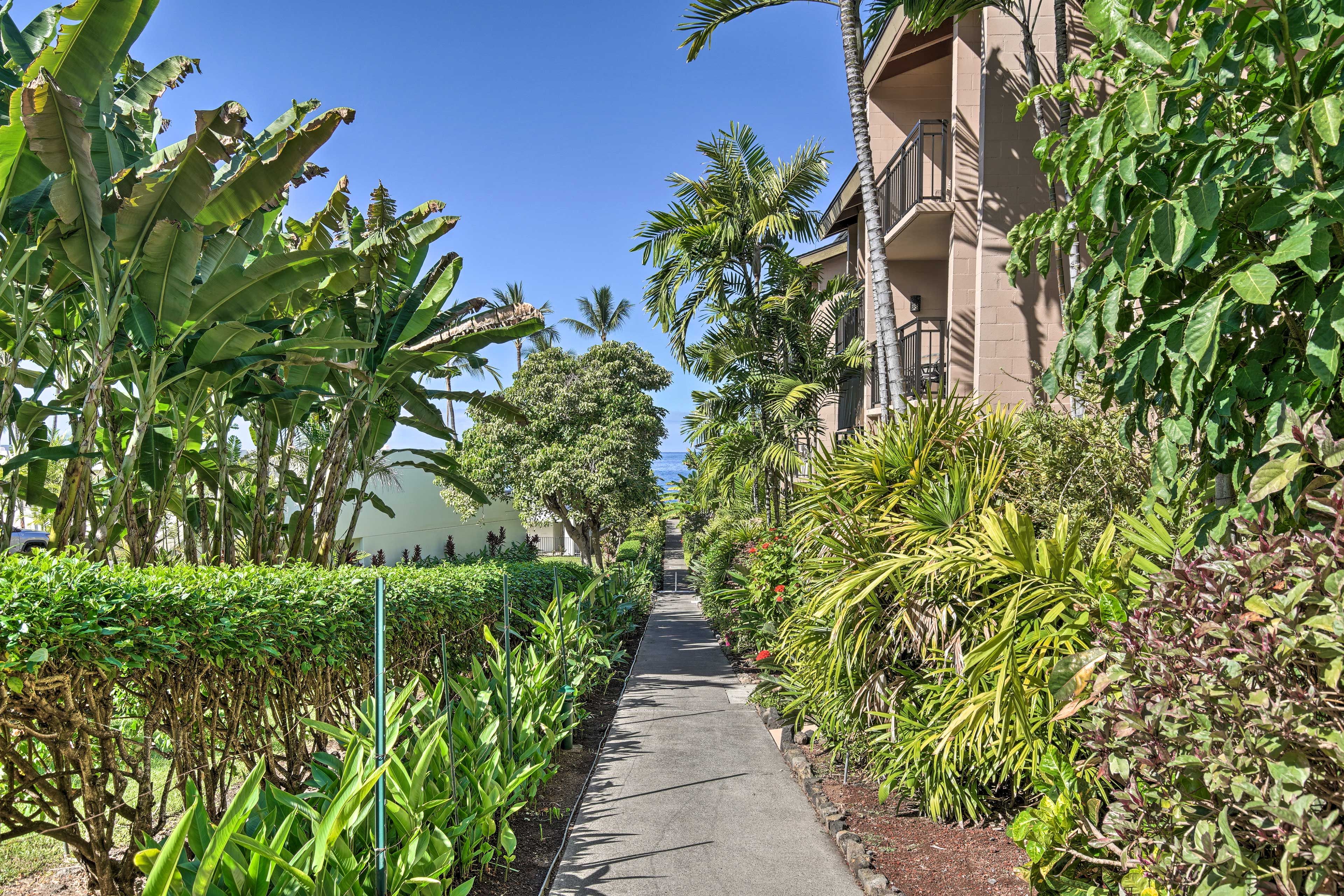 Oceanfront Condo Complex