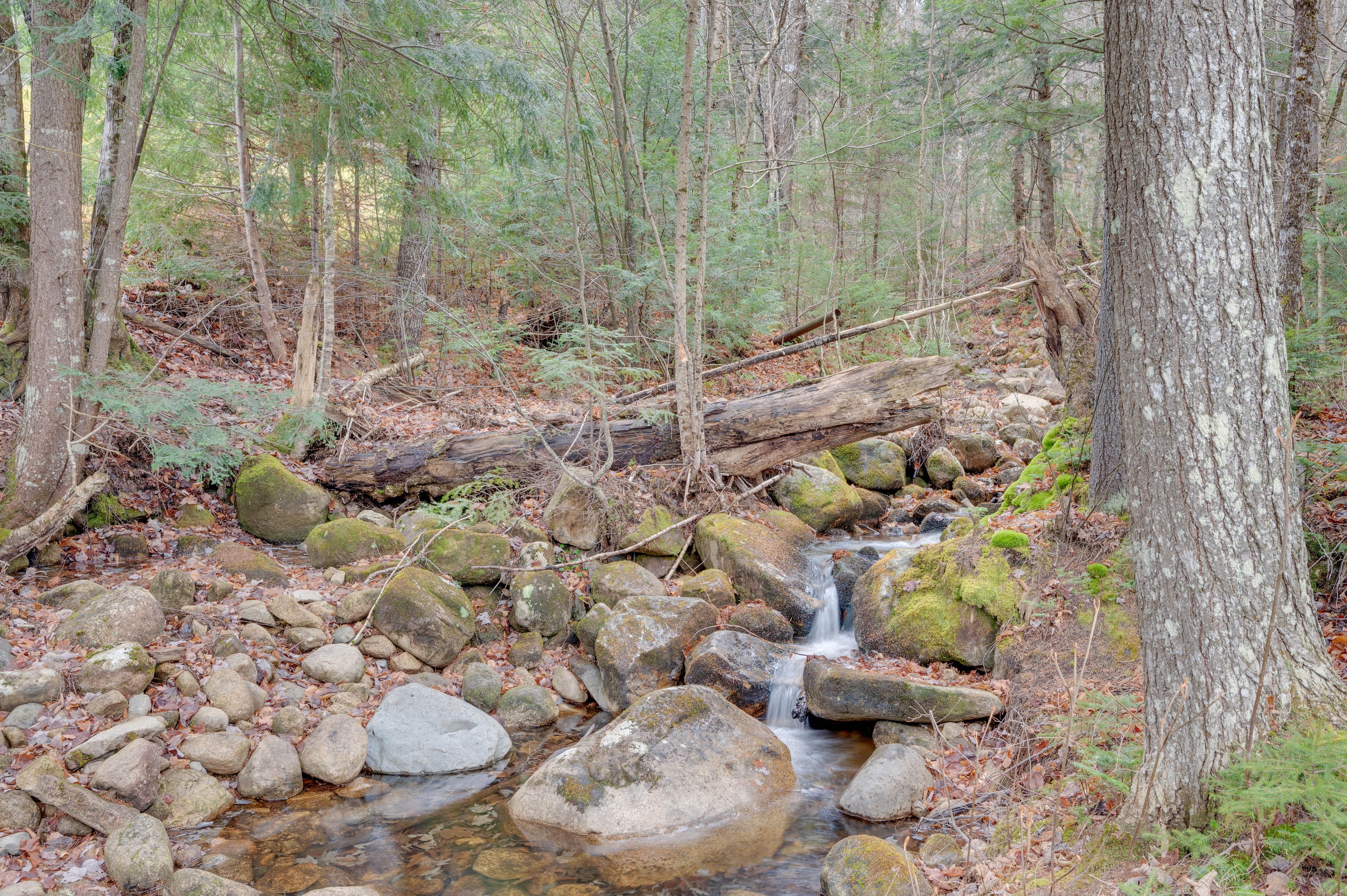 Creek Nearby