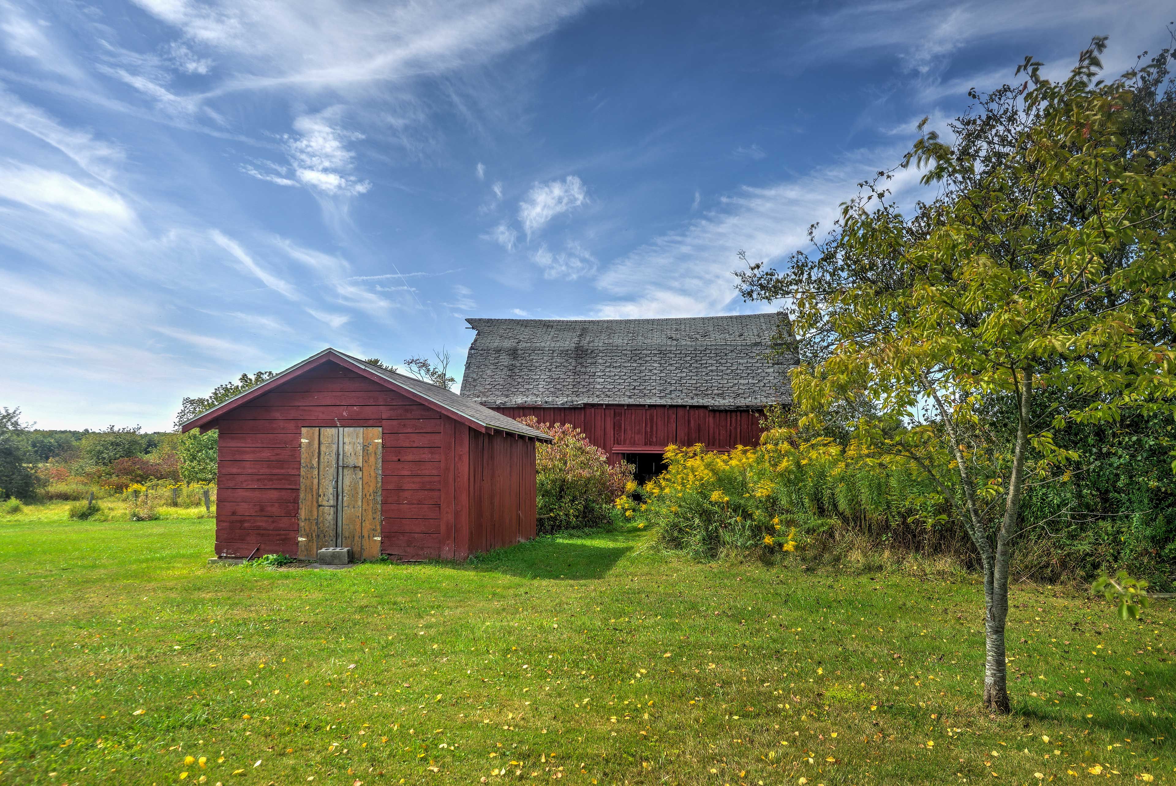 Use the spacious property to play lawn games with your travel companions.