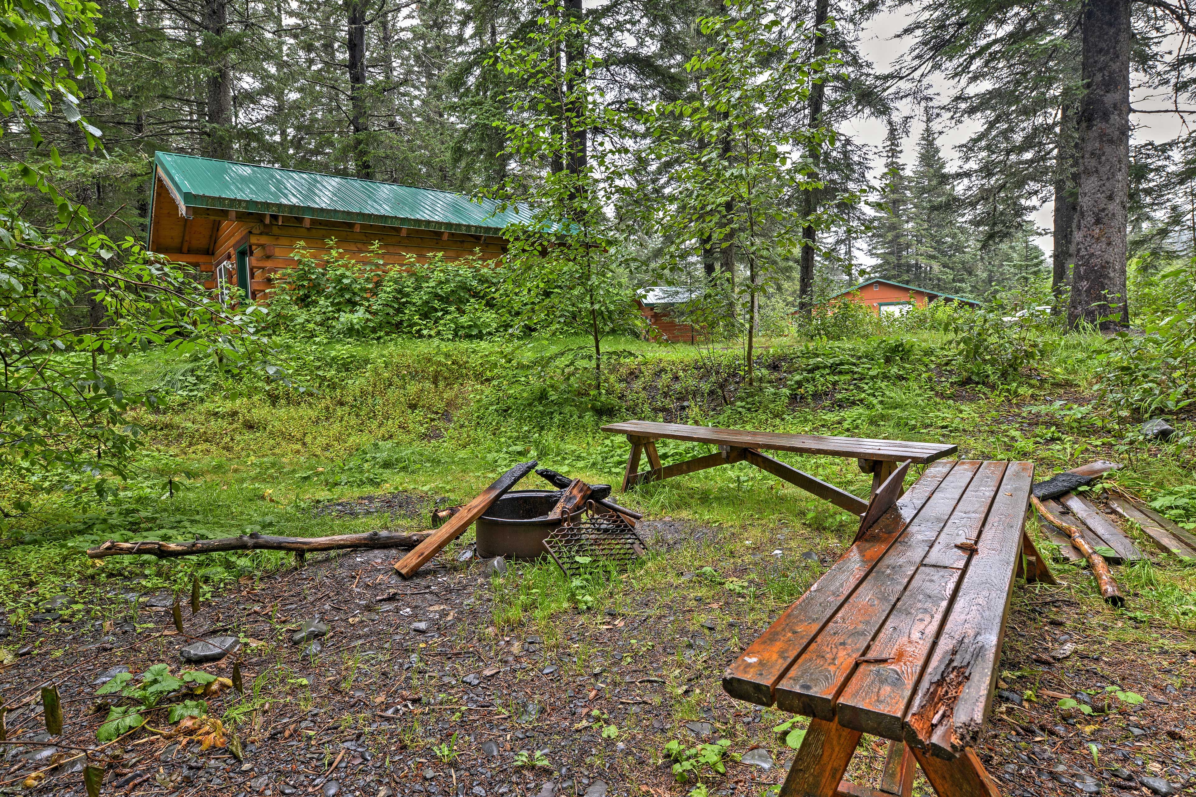 Cabin Exterior | 3 Acre Wooded Property | Pet Friendly w/ Fee