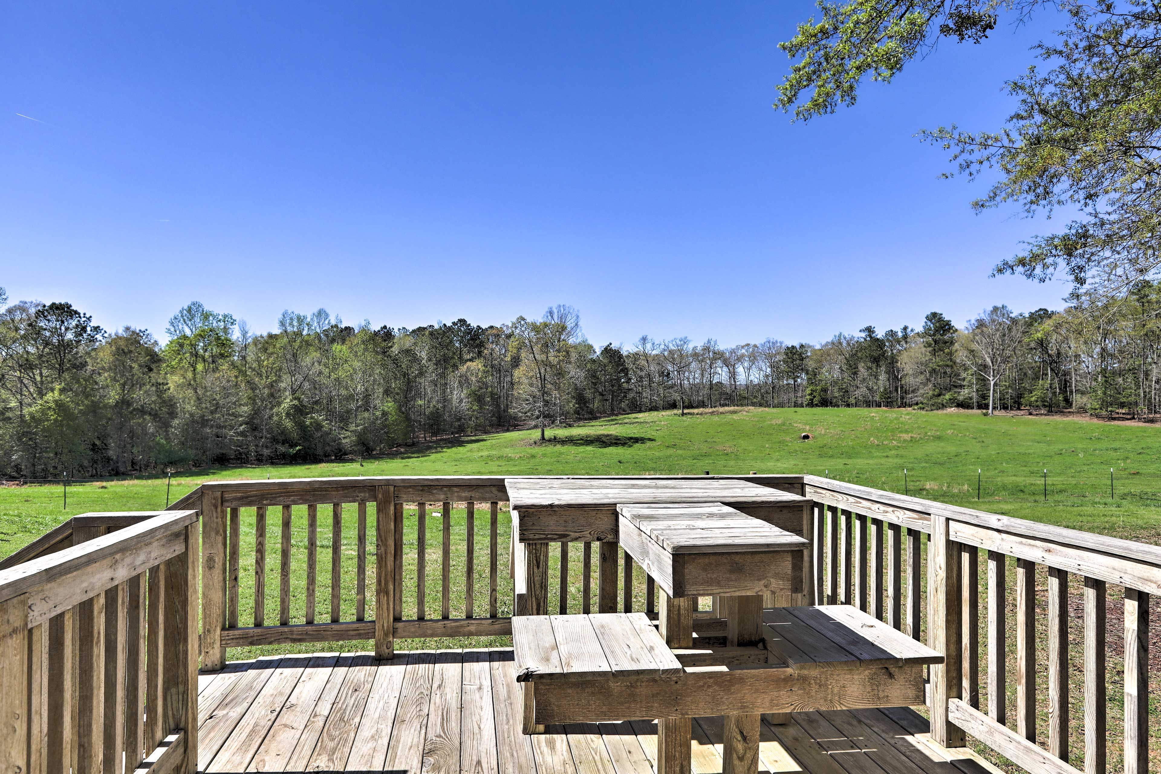Deck