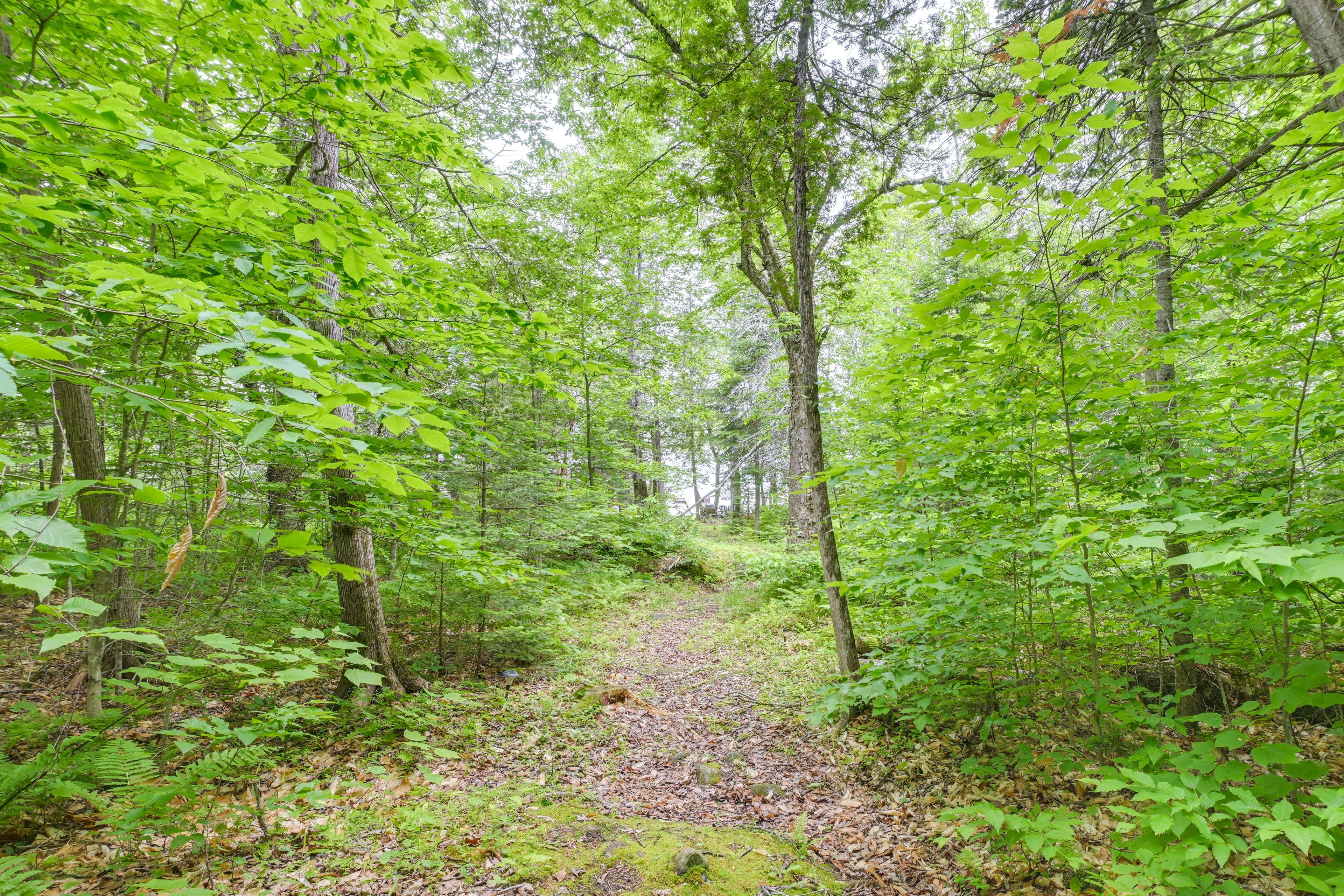 Path to Lake
