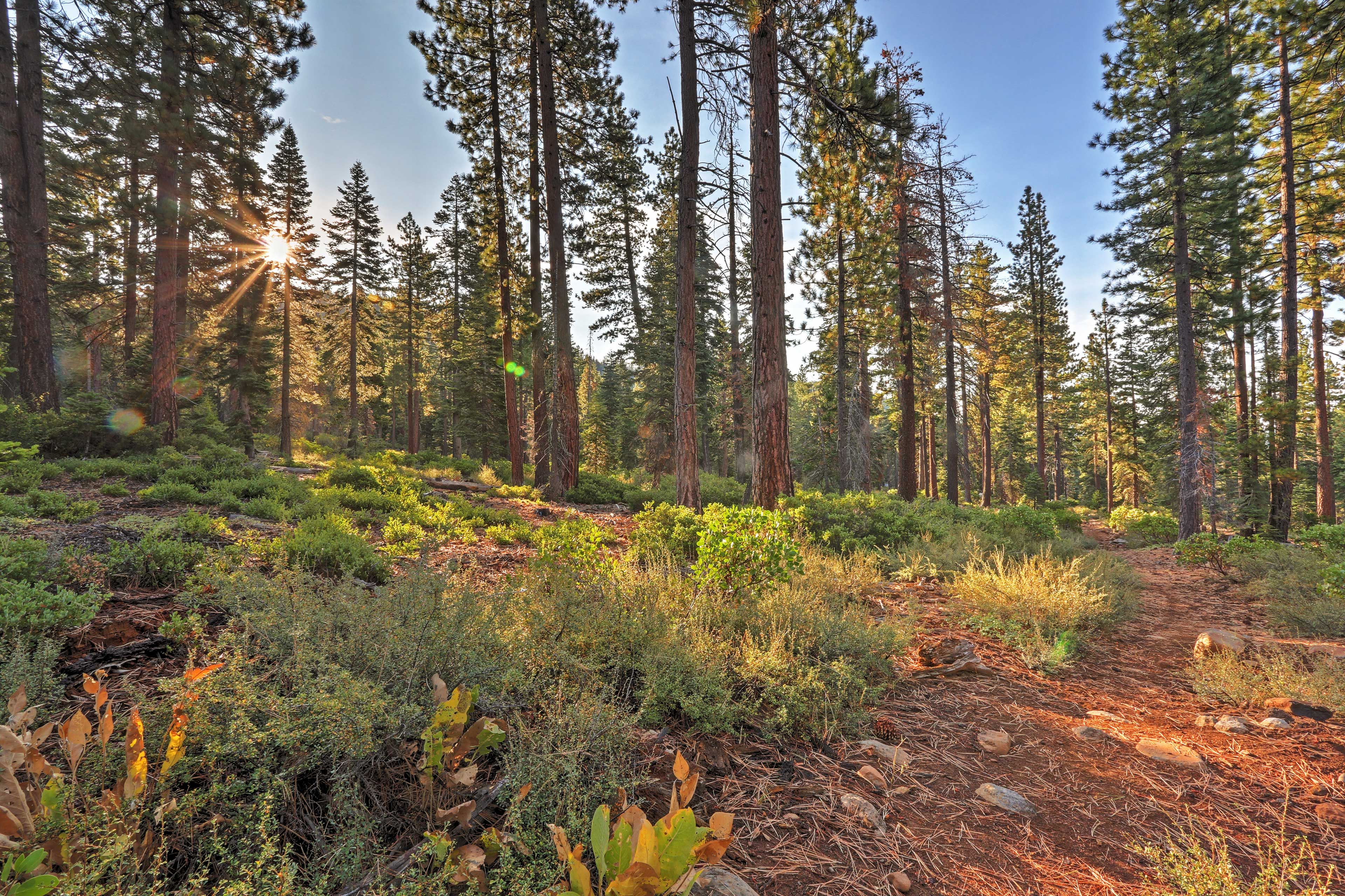 There's plenty of outdoor activities just steps from your front door.