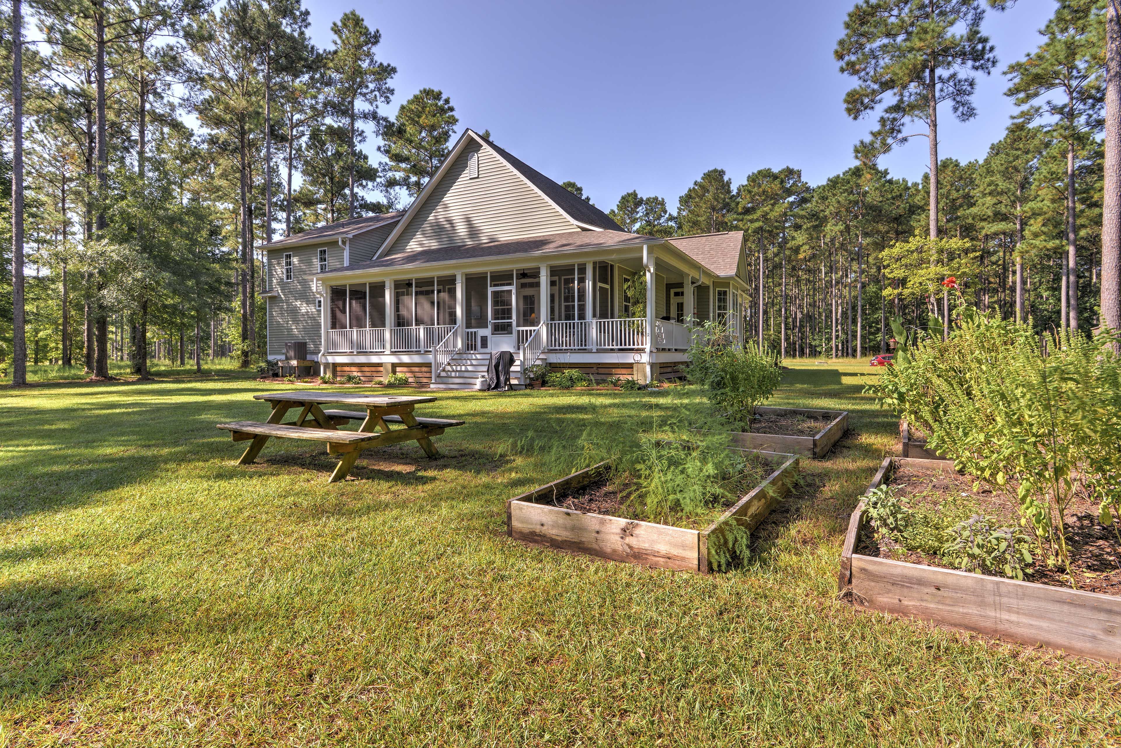 Backyard
