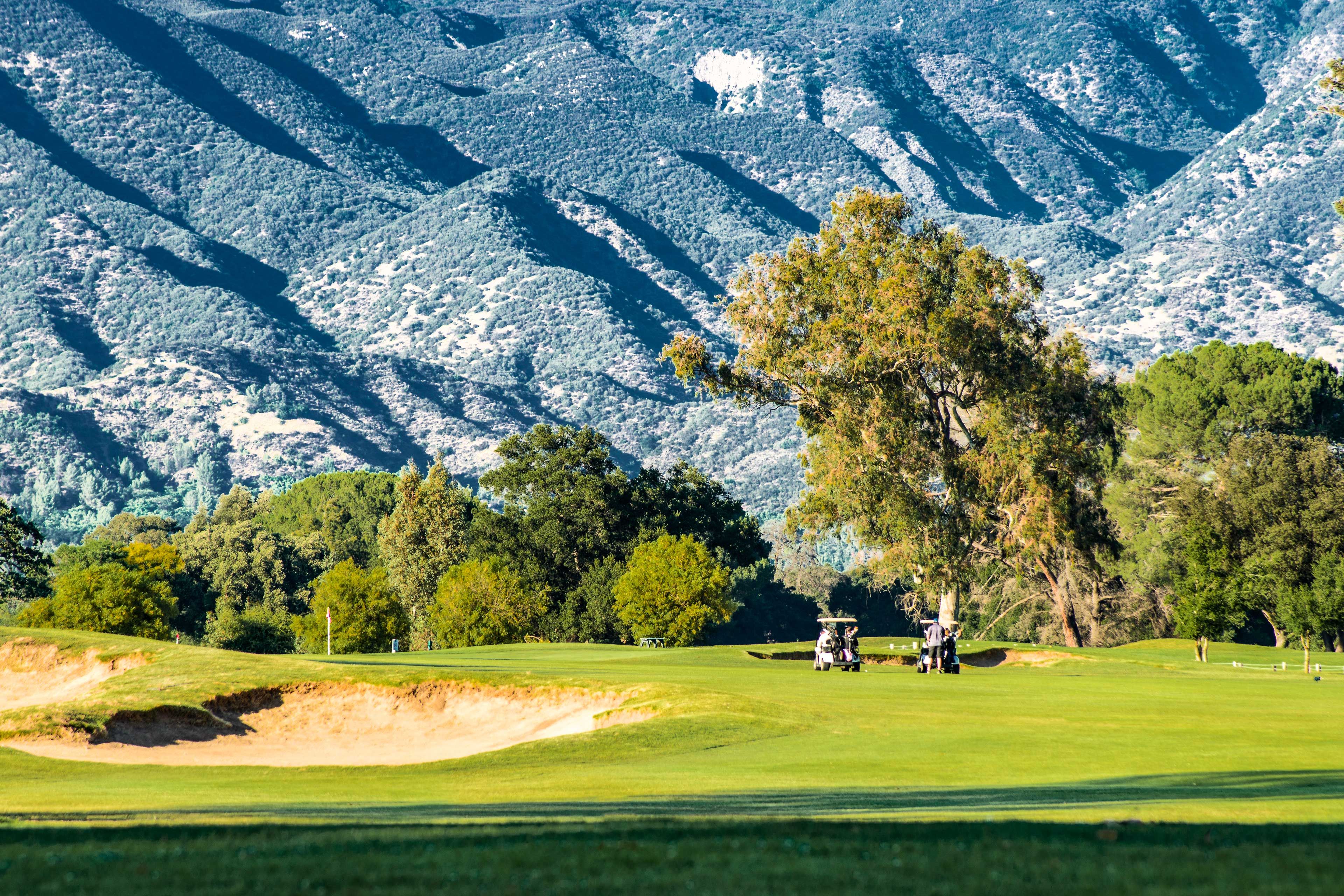 Nearby Golfing