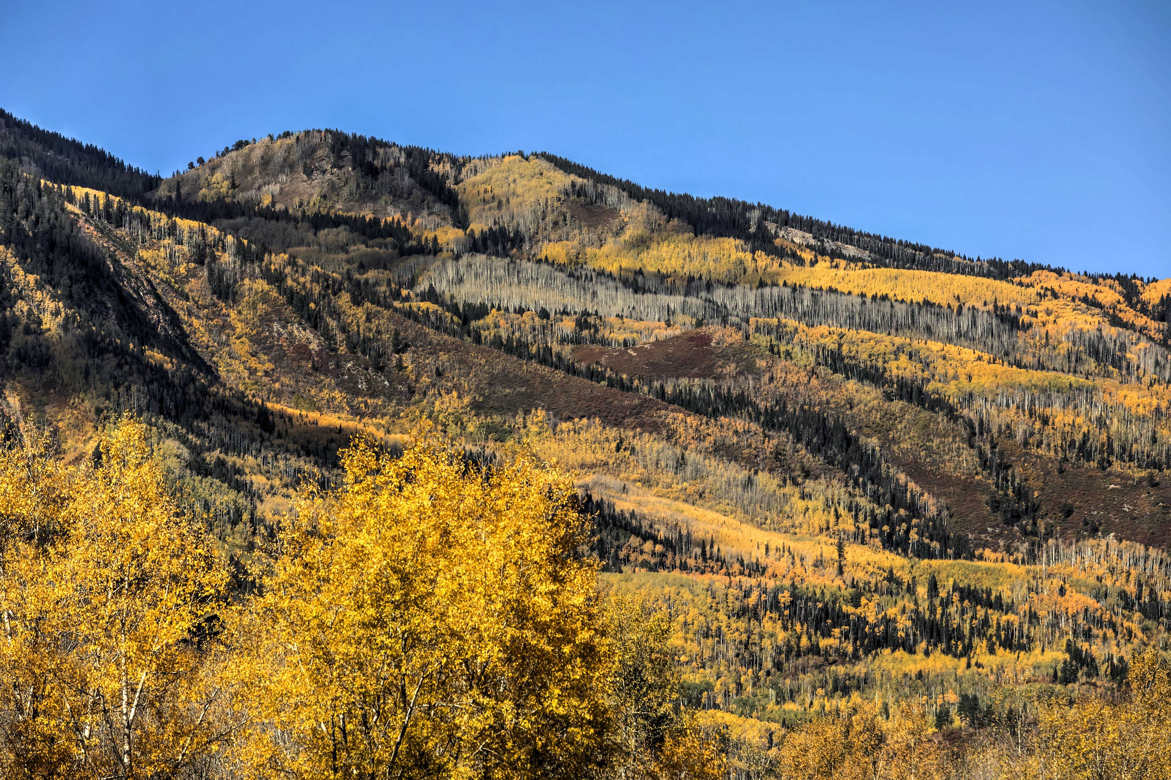 Surrounding Views | Close to Trails + Parks