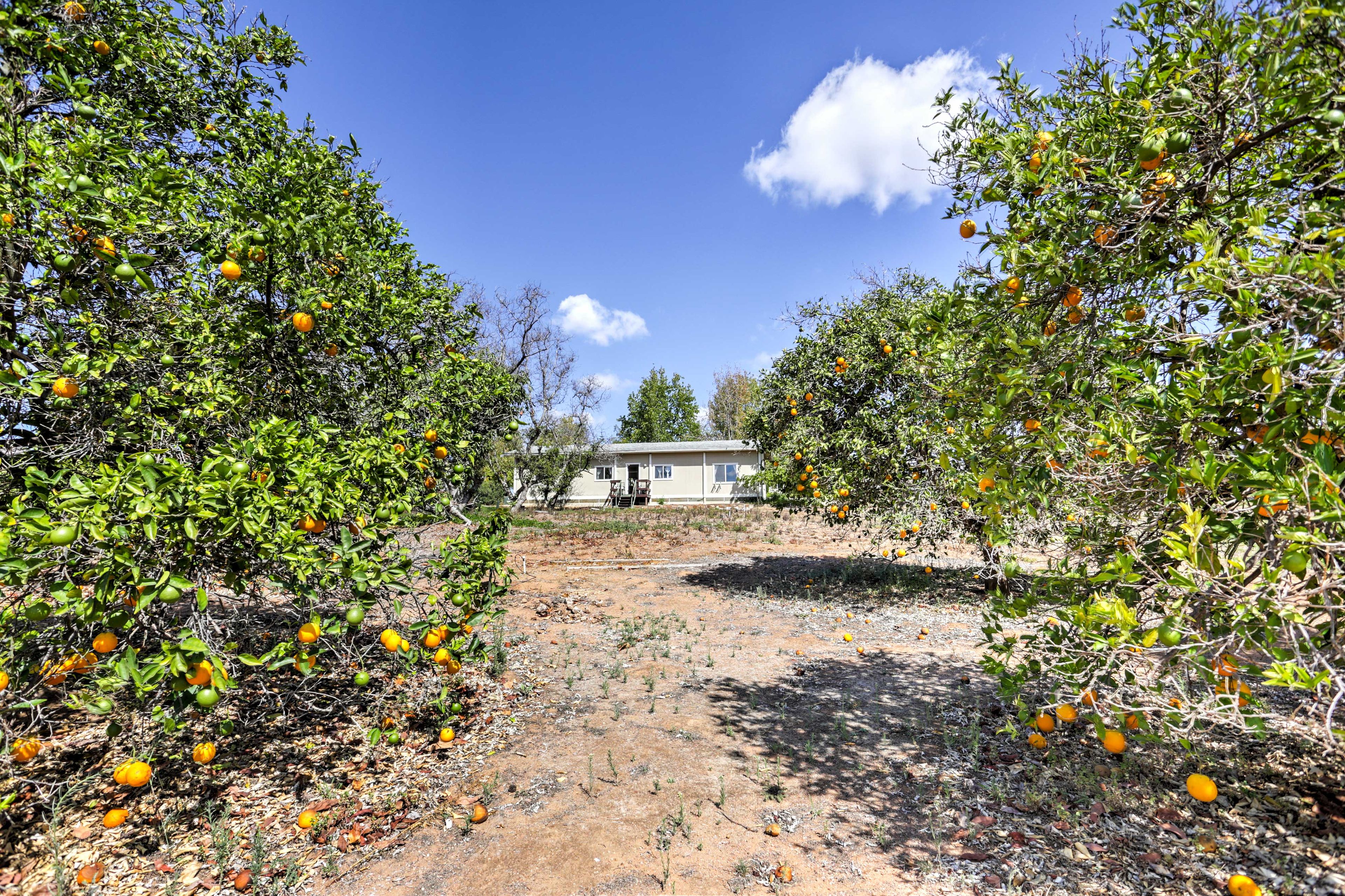 Surrounding Area | 6-Acre Vineyard Estate