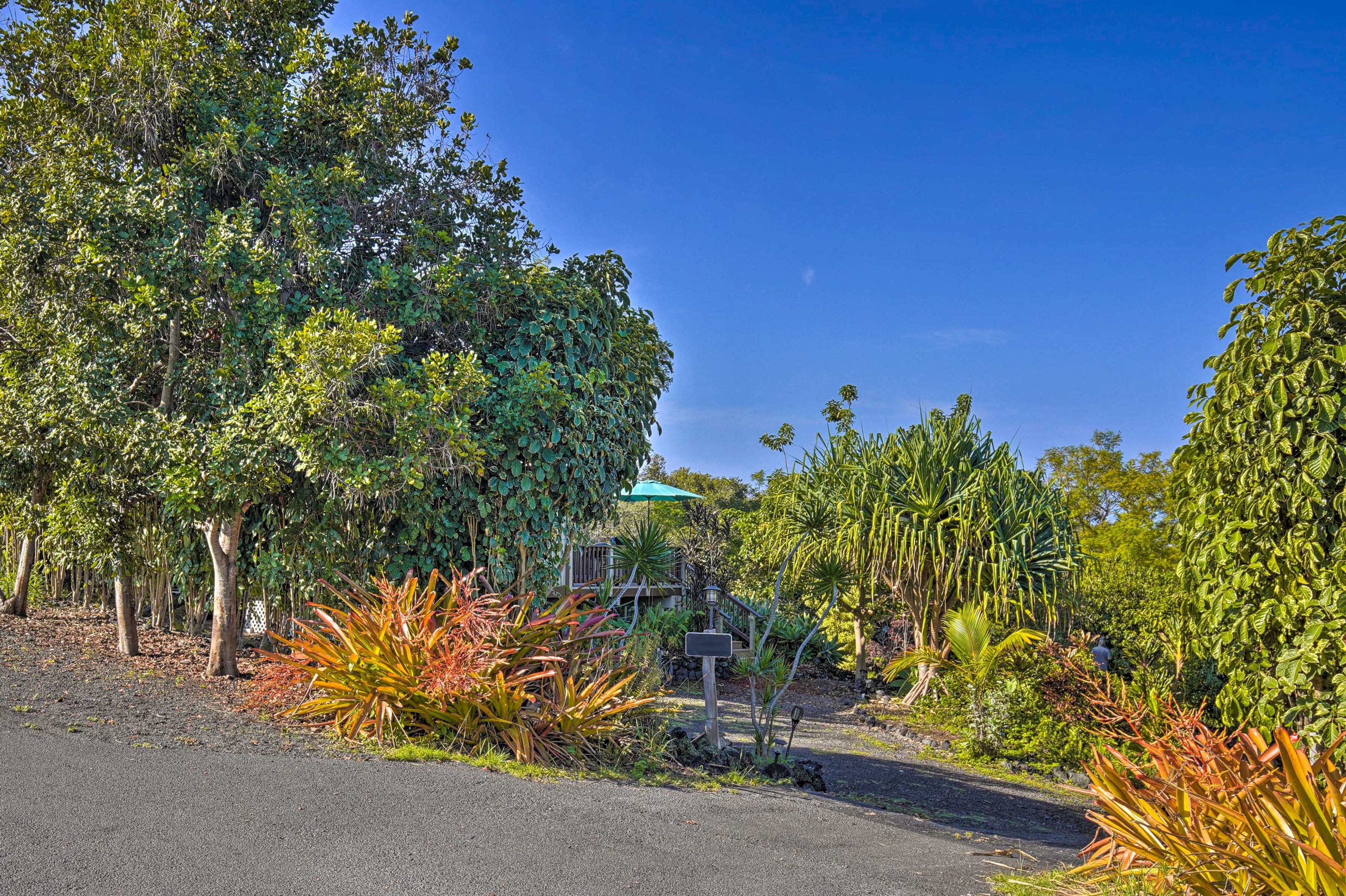 Parking | Driveway (Ample Parking)