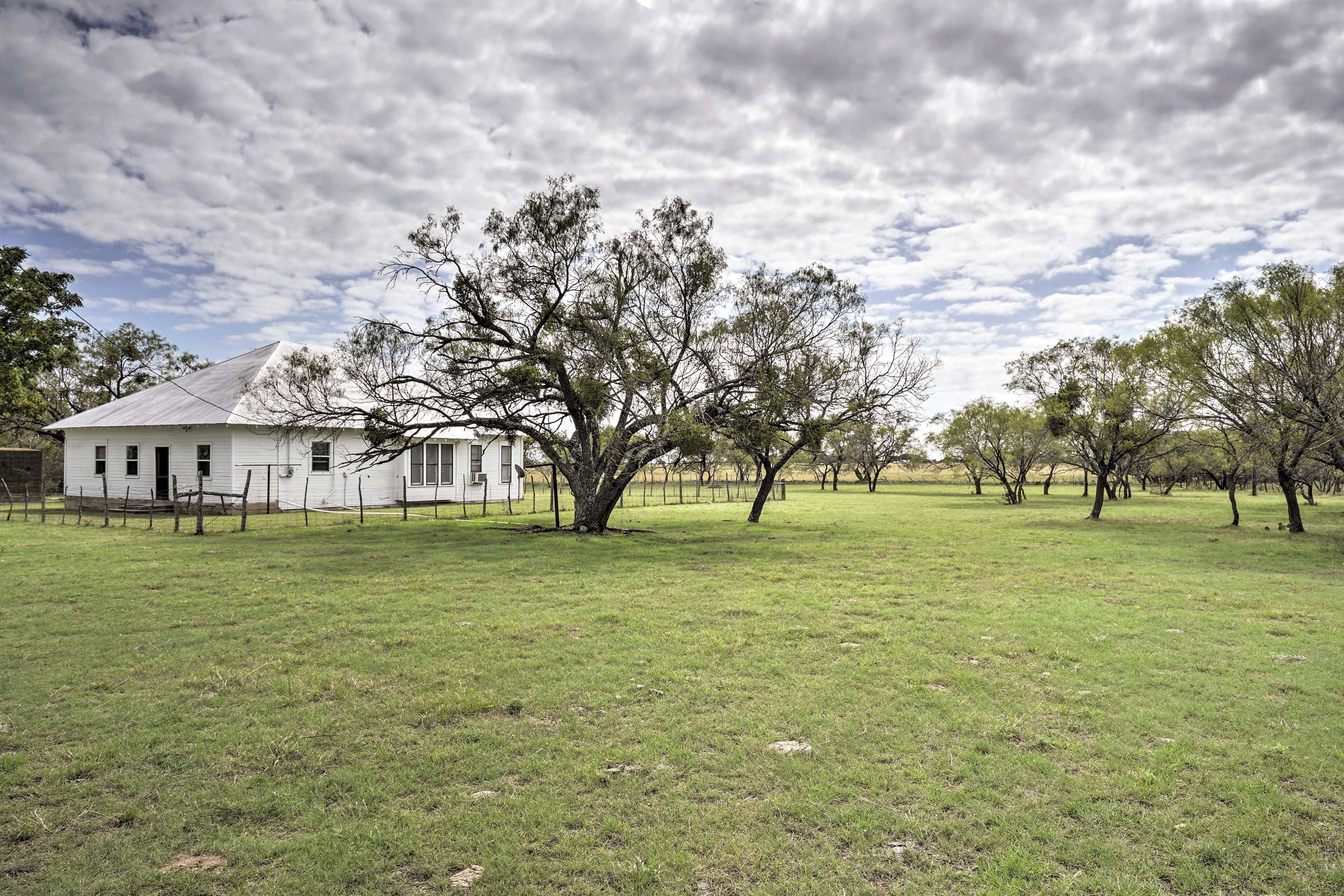 Watch the natural wildlife roam in and out of the property.