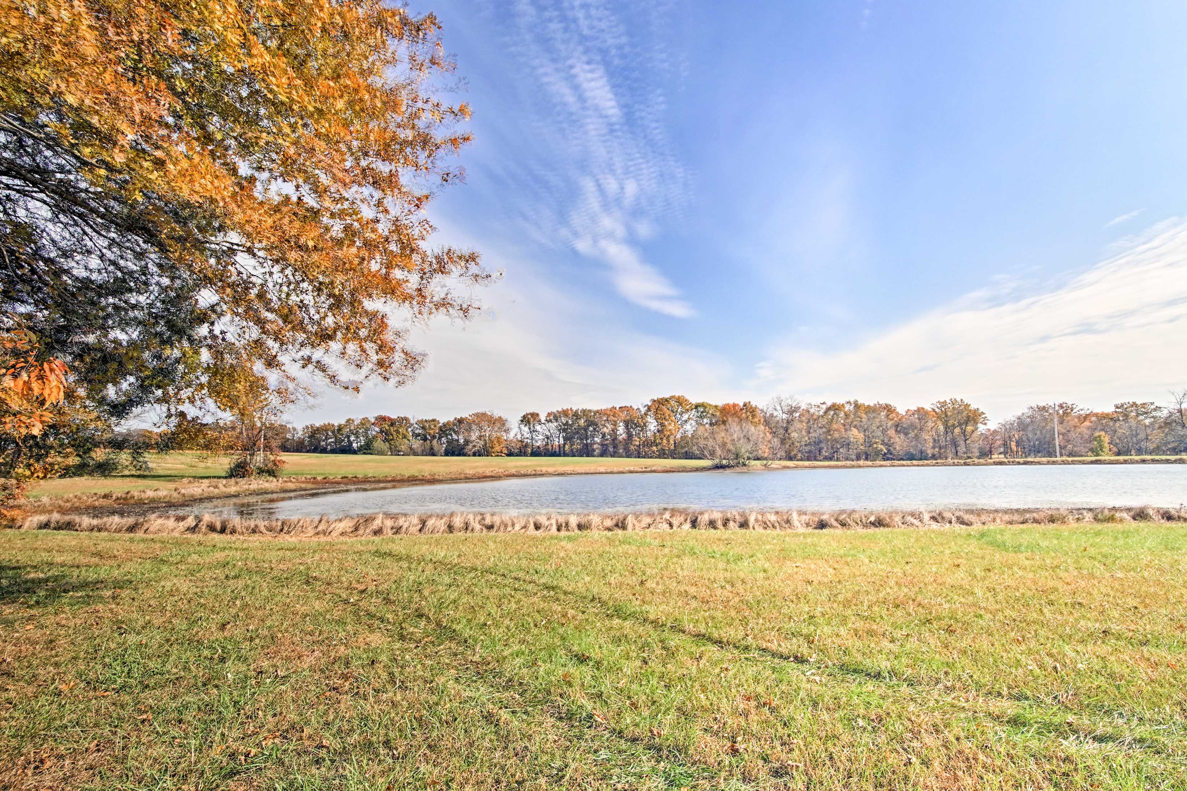 Cedar Creek Resort Grounds & Amenities