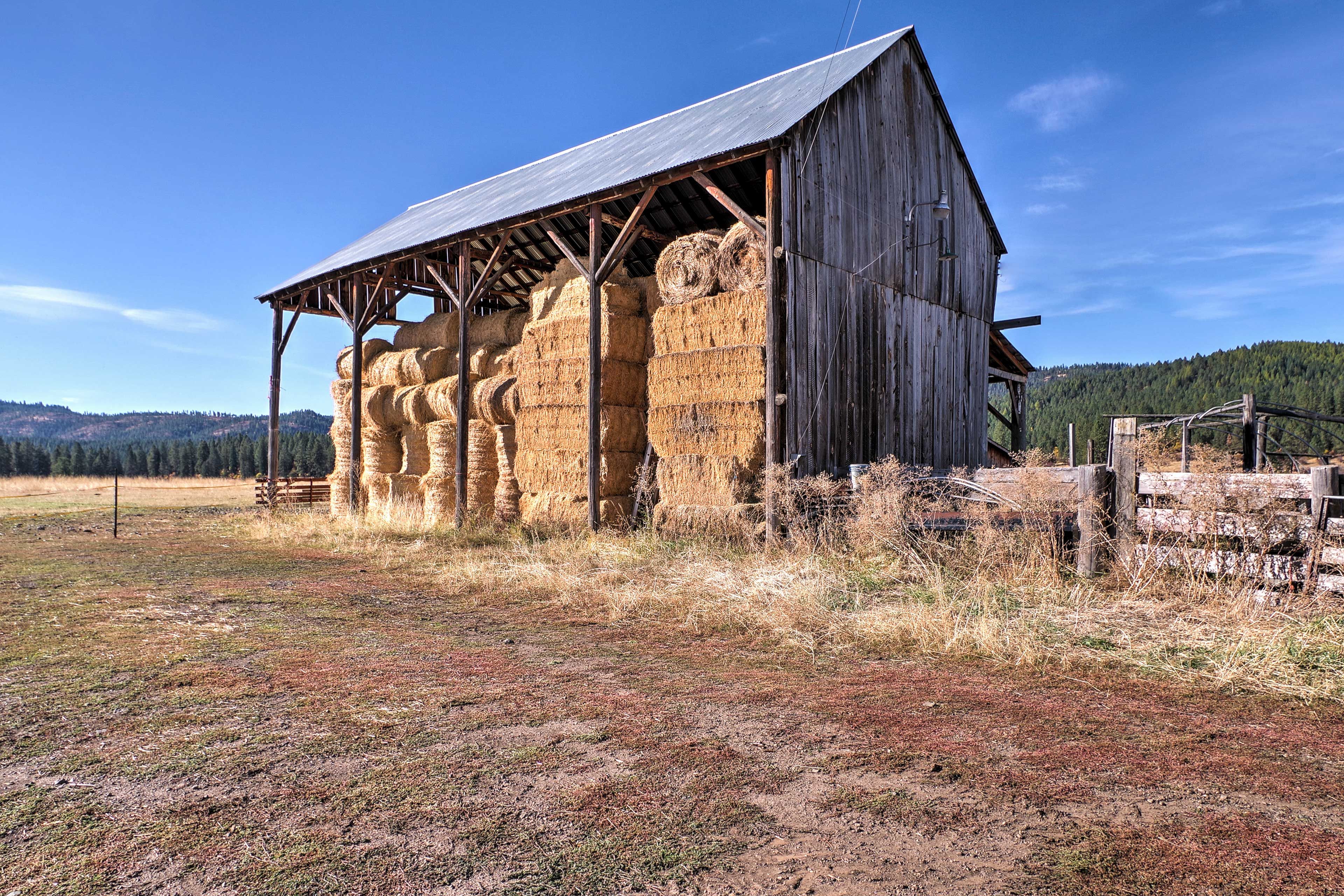 Image 22